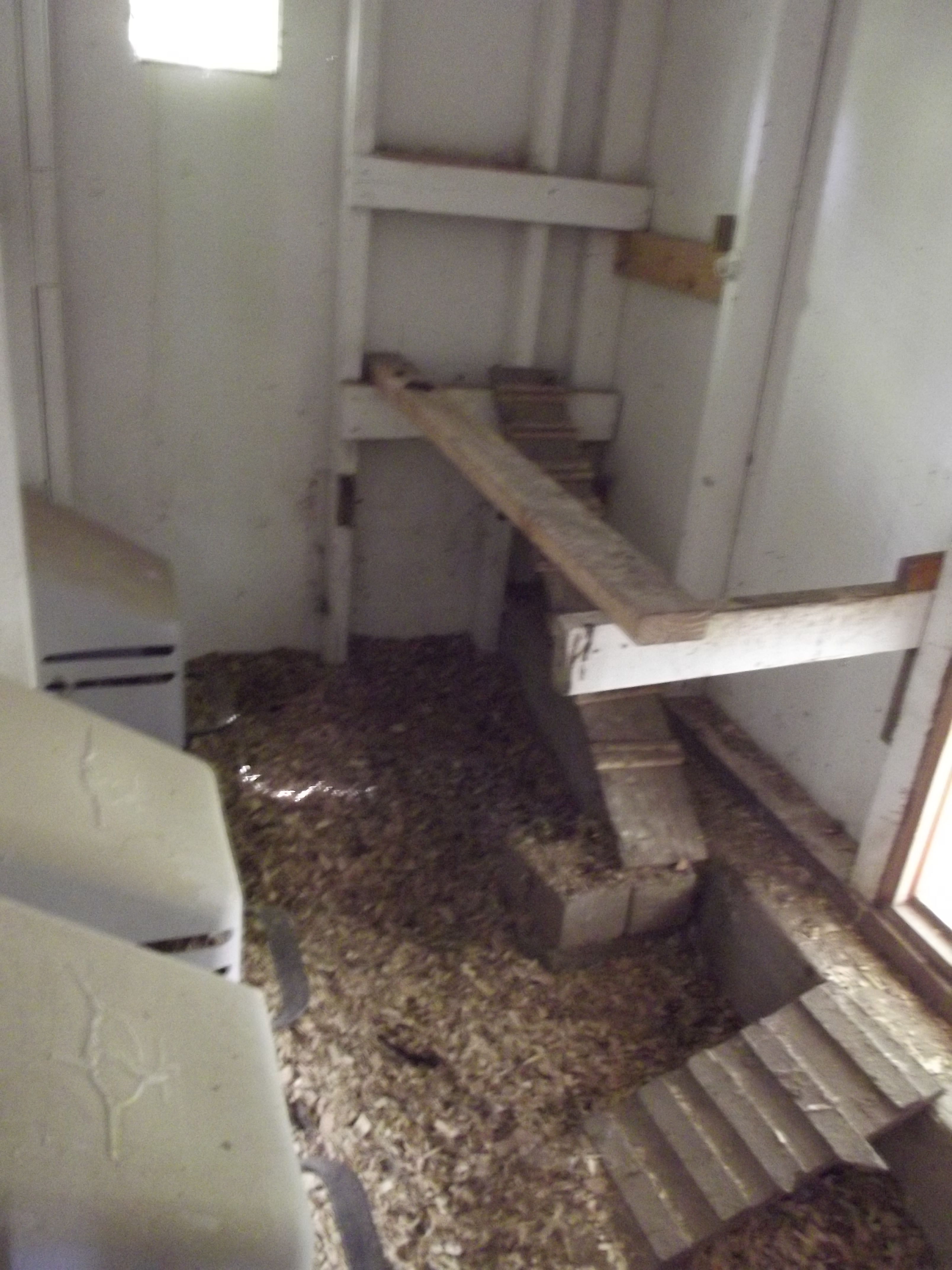 inside pic of coop