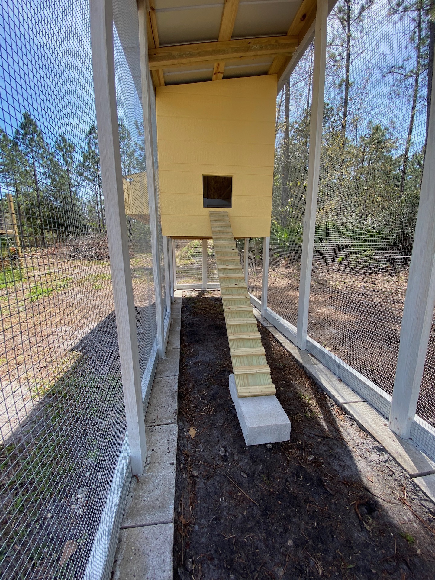 Inside Run View
