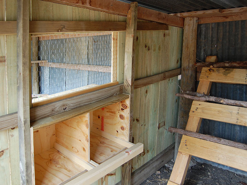 inside showing nest box and window