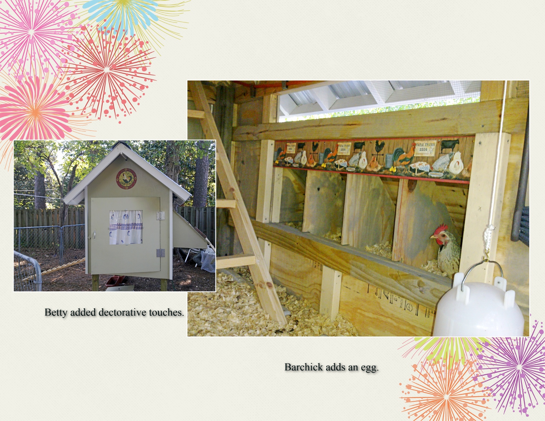 Inside, showing roost ladder to horizontal roost perch above but not visable.  Four nest boxes (with Barchic, a leghorn cross, laying an egg in the new palace).