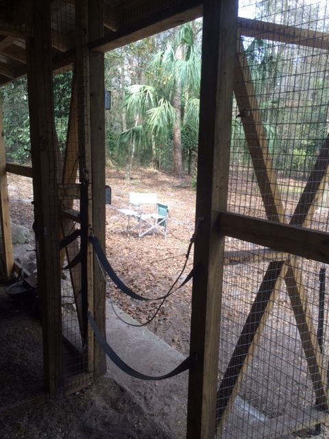 Inside . Straps are to keep horses out of chicken food.