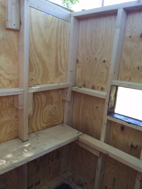 Inside the bigger coop.
