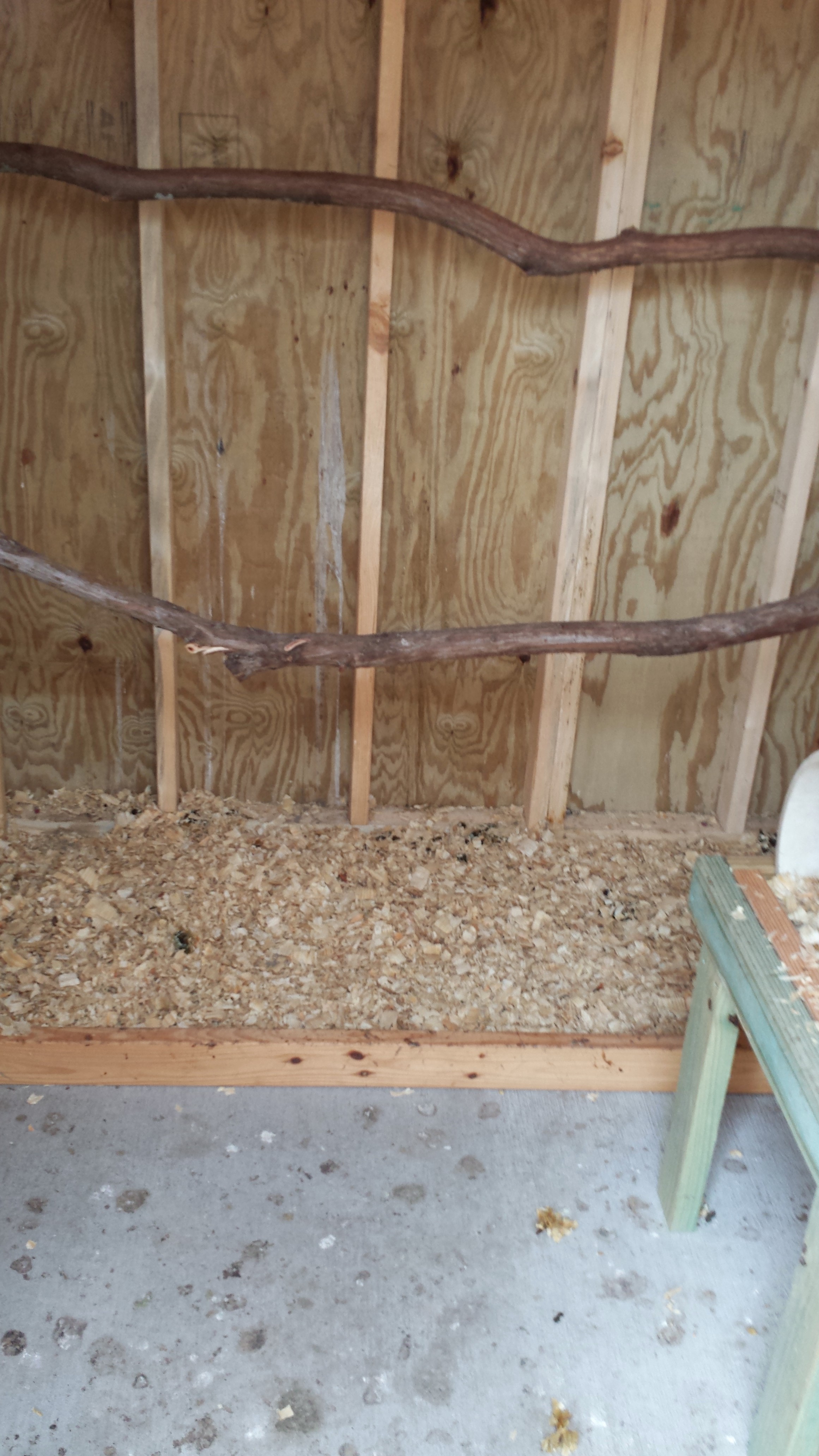 Inside.  The board at the bottom is removable - just sits in a channel.  So do the roosts which were trimmed from cedar trees on property.