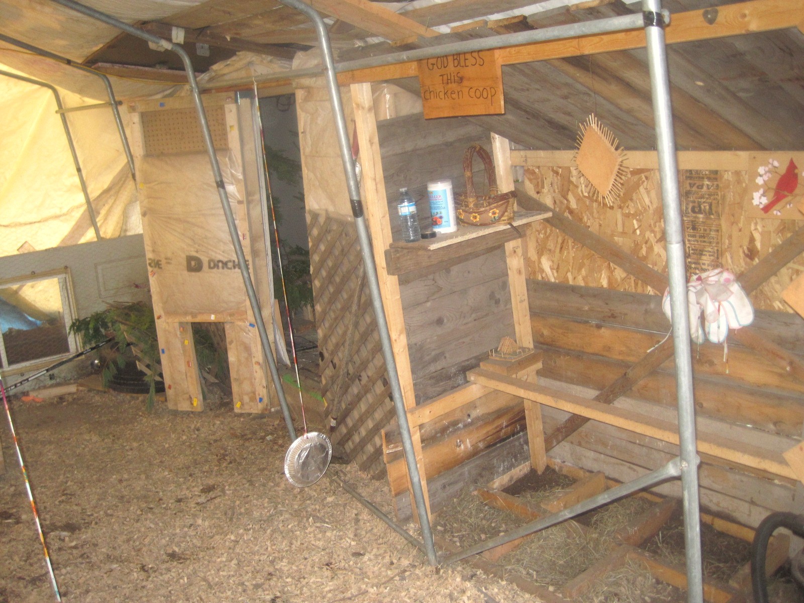 inside the car tent we have put down some wood shavings. hopefully it will help keep them dry and warm.
they also have outside perches