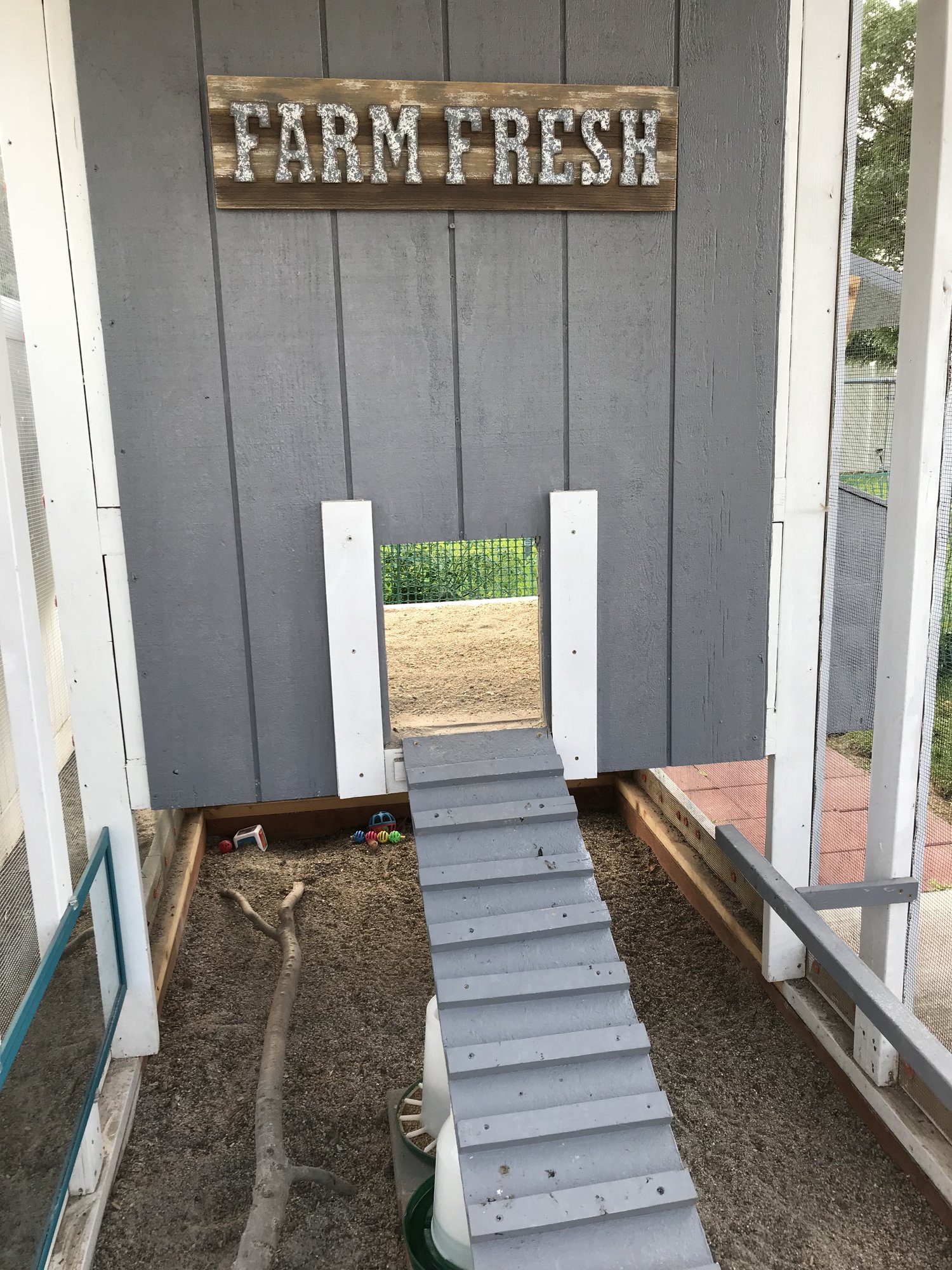 Inside The Chicken Run