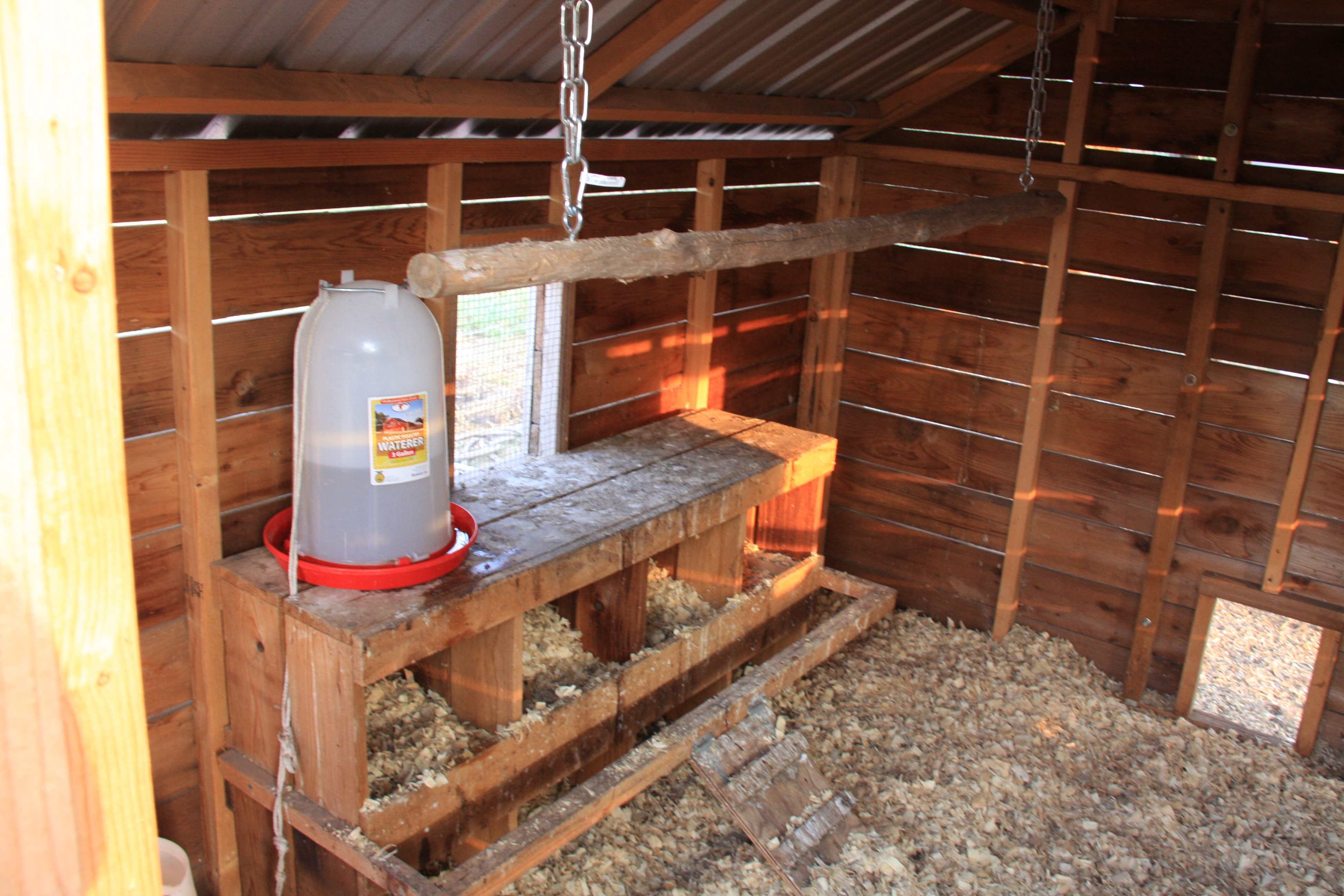 Inside the Chilton -  boxes, water feeder before nipple and indoor cedar swing