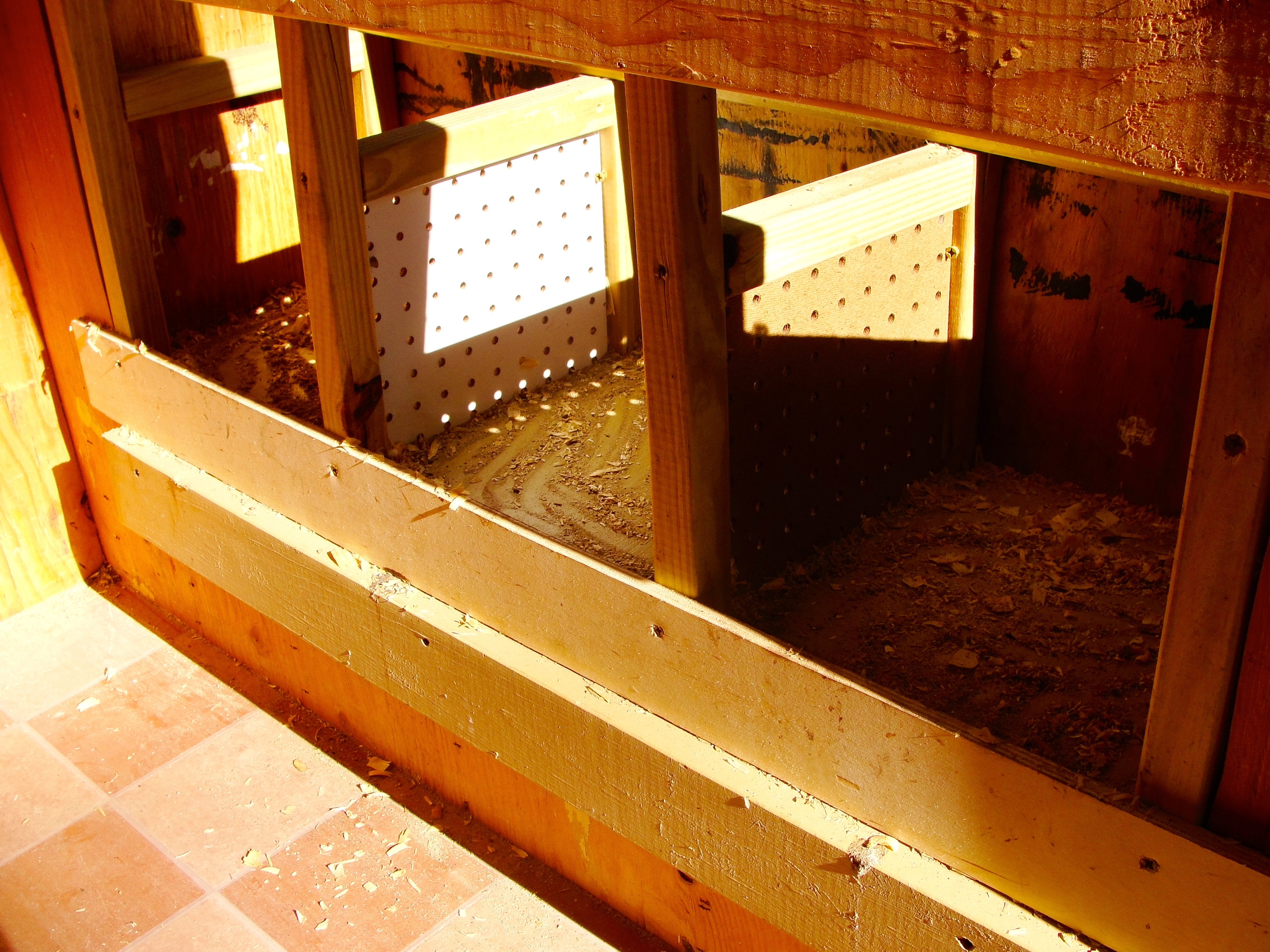 inside the coop looking at the nesting boxes