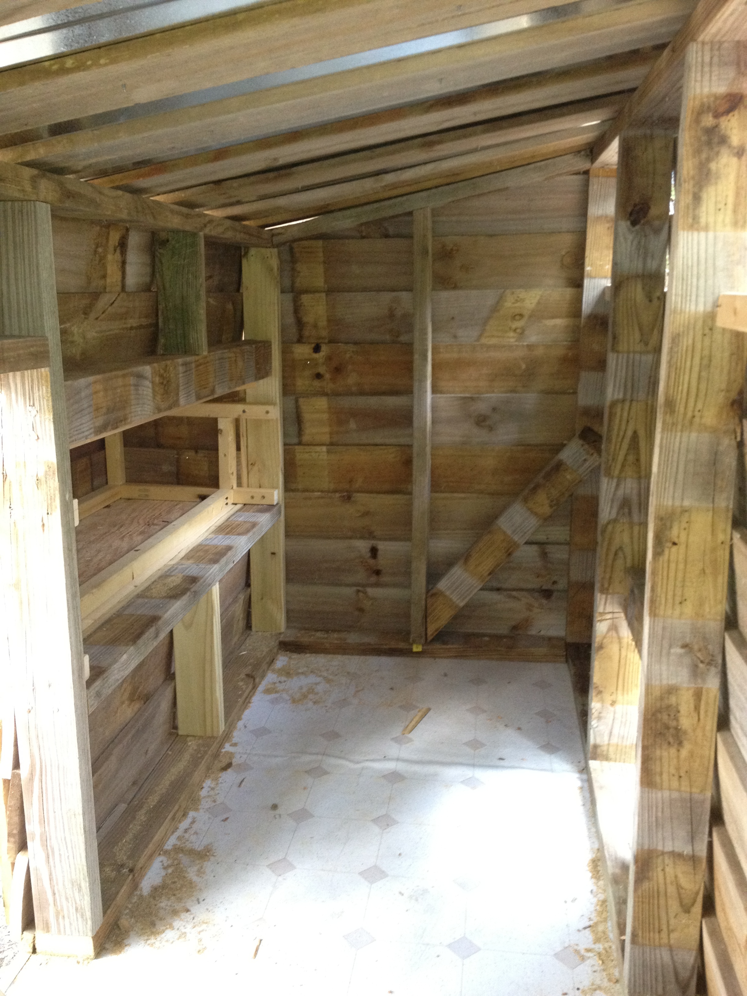 Inside the coop--the nesting boxes