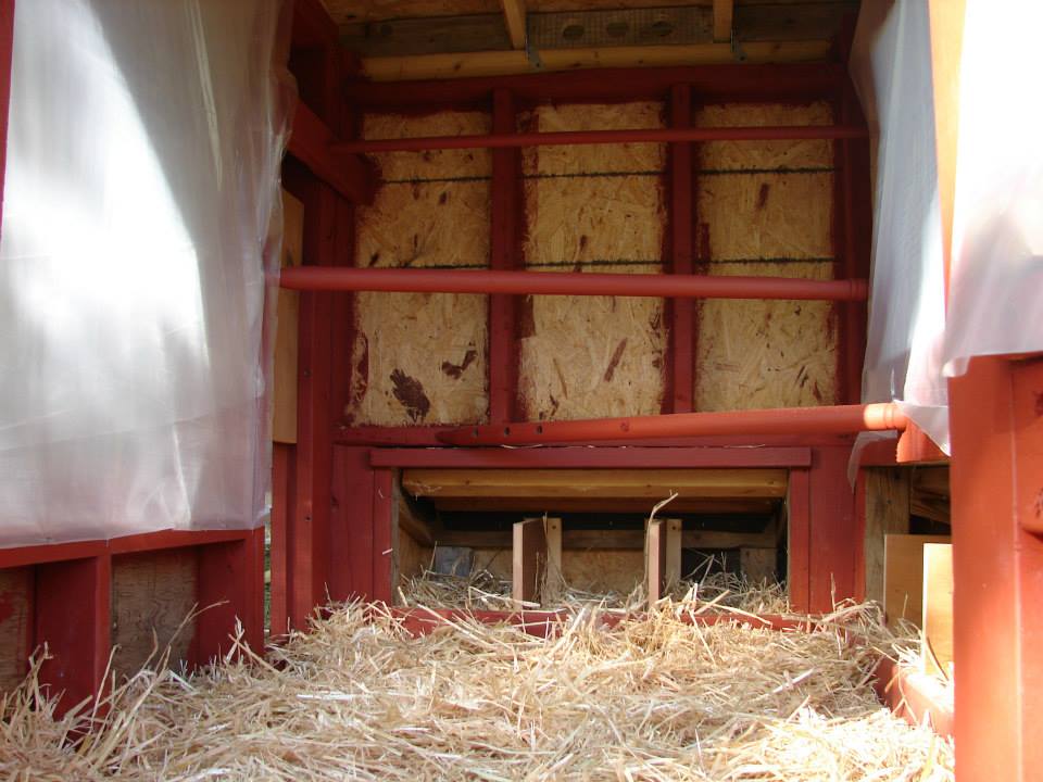 Inside the coop.