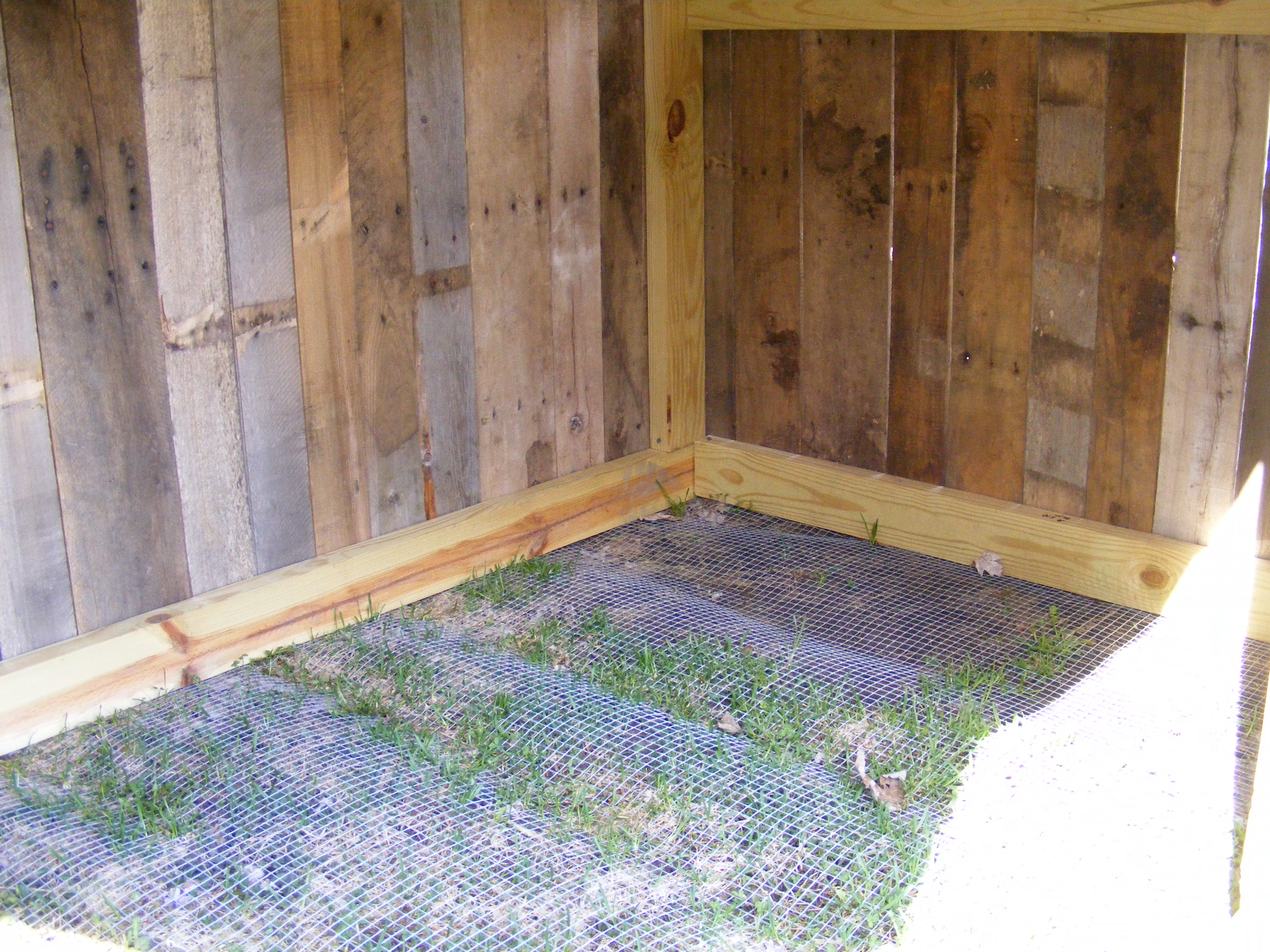 Inside the duck house