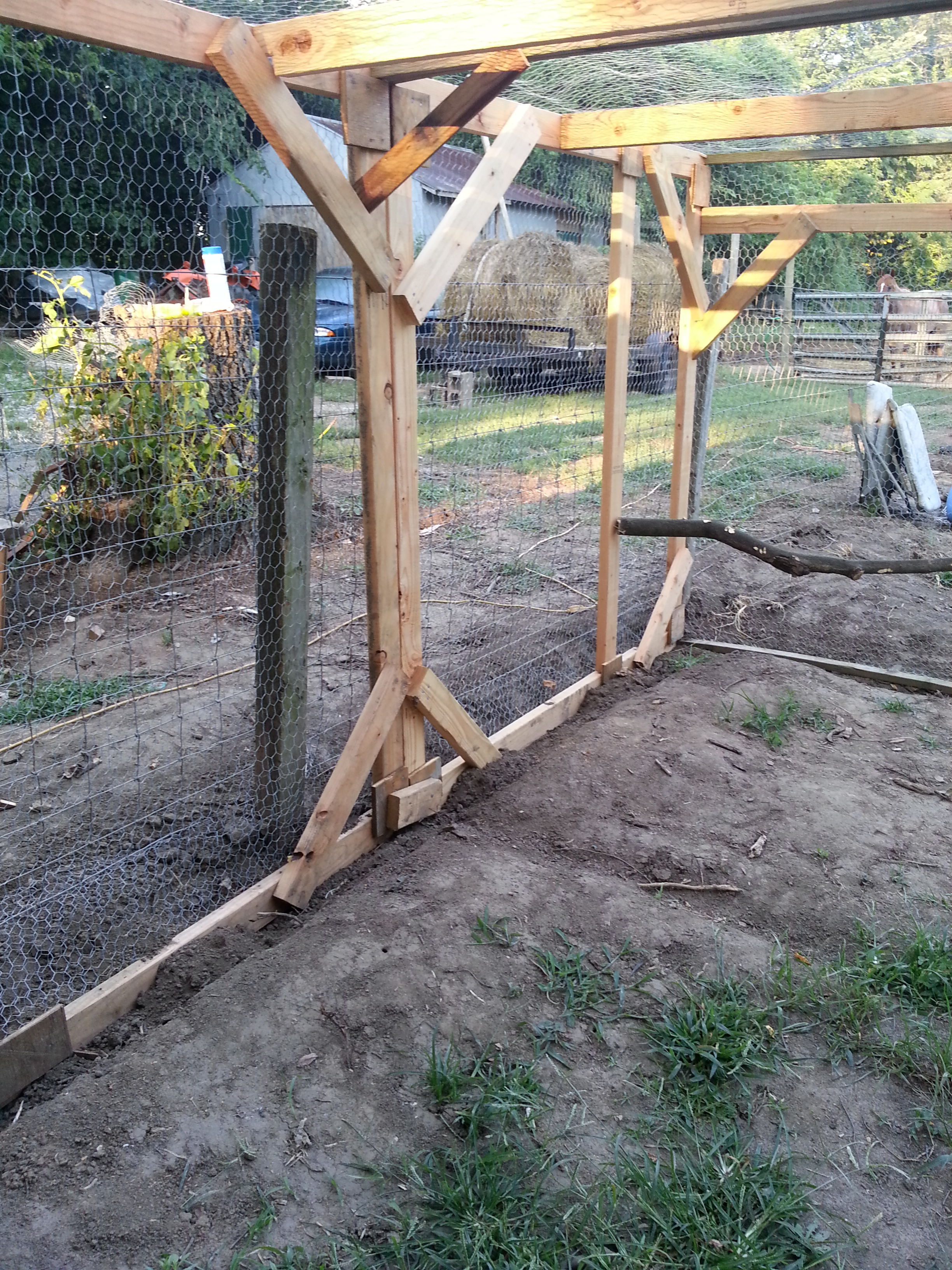 Inside the run....I put up a tree branch in the corner and plan to put sand in the run.