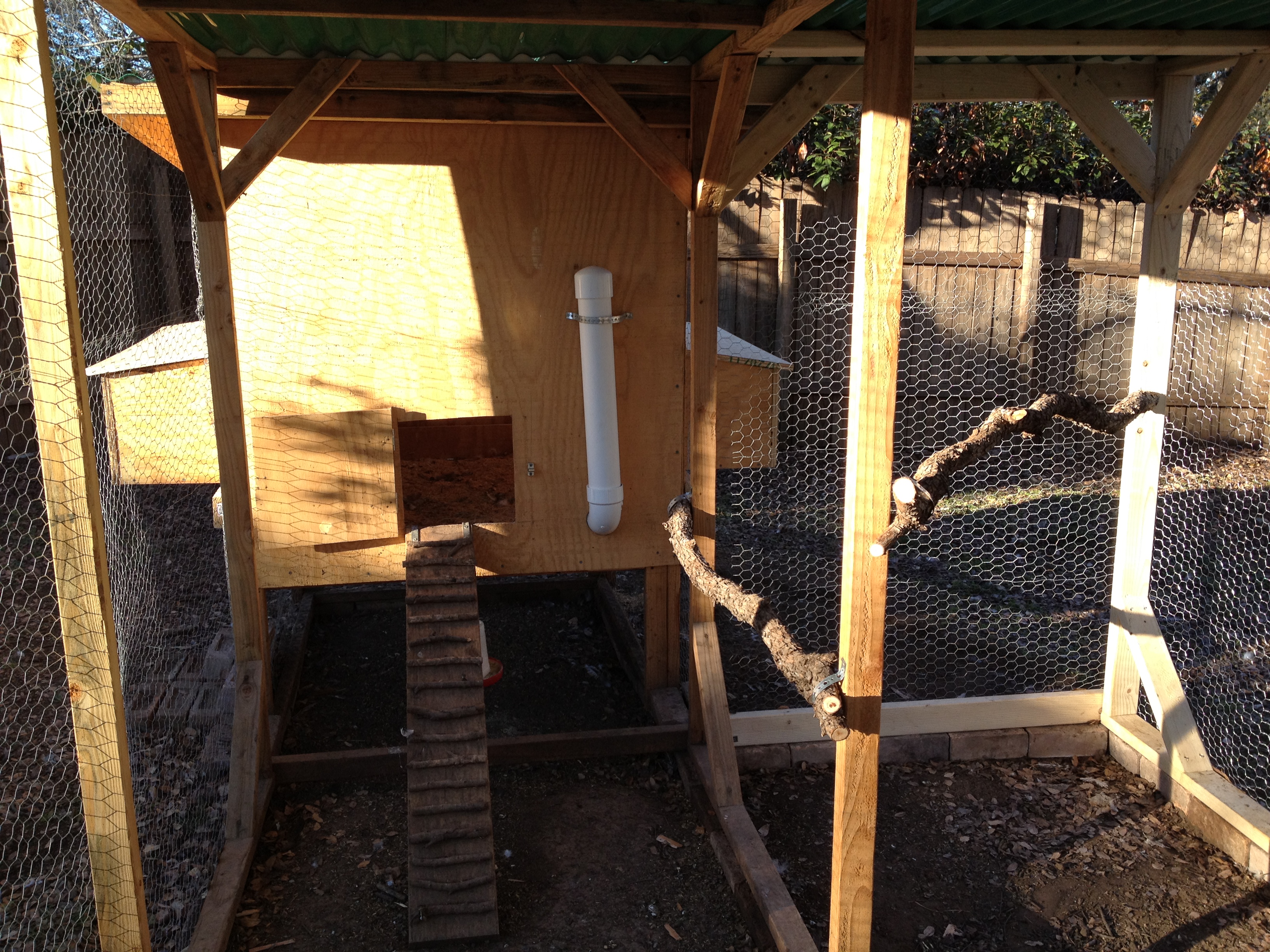Inside the run with view of perches and feeder tube for inside coop