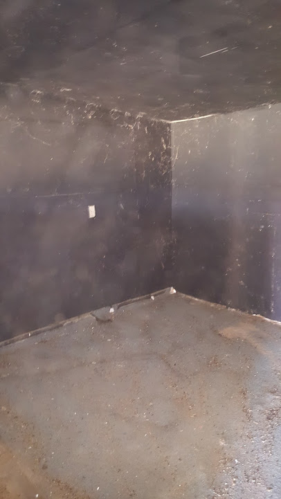 inside the shed after clearing out dead rat carcasses and trash left my previous owners....black painted walls!  that has got to go.  Needs a new paint job