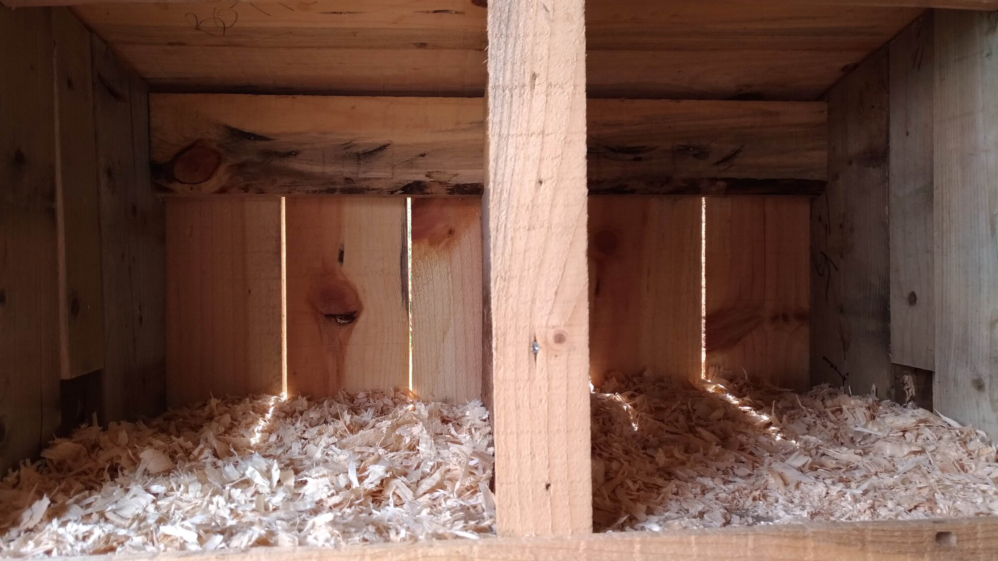 Inside the two nesting boxes