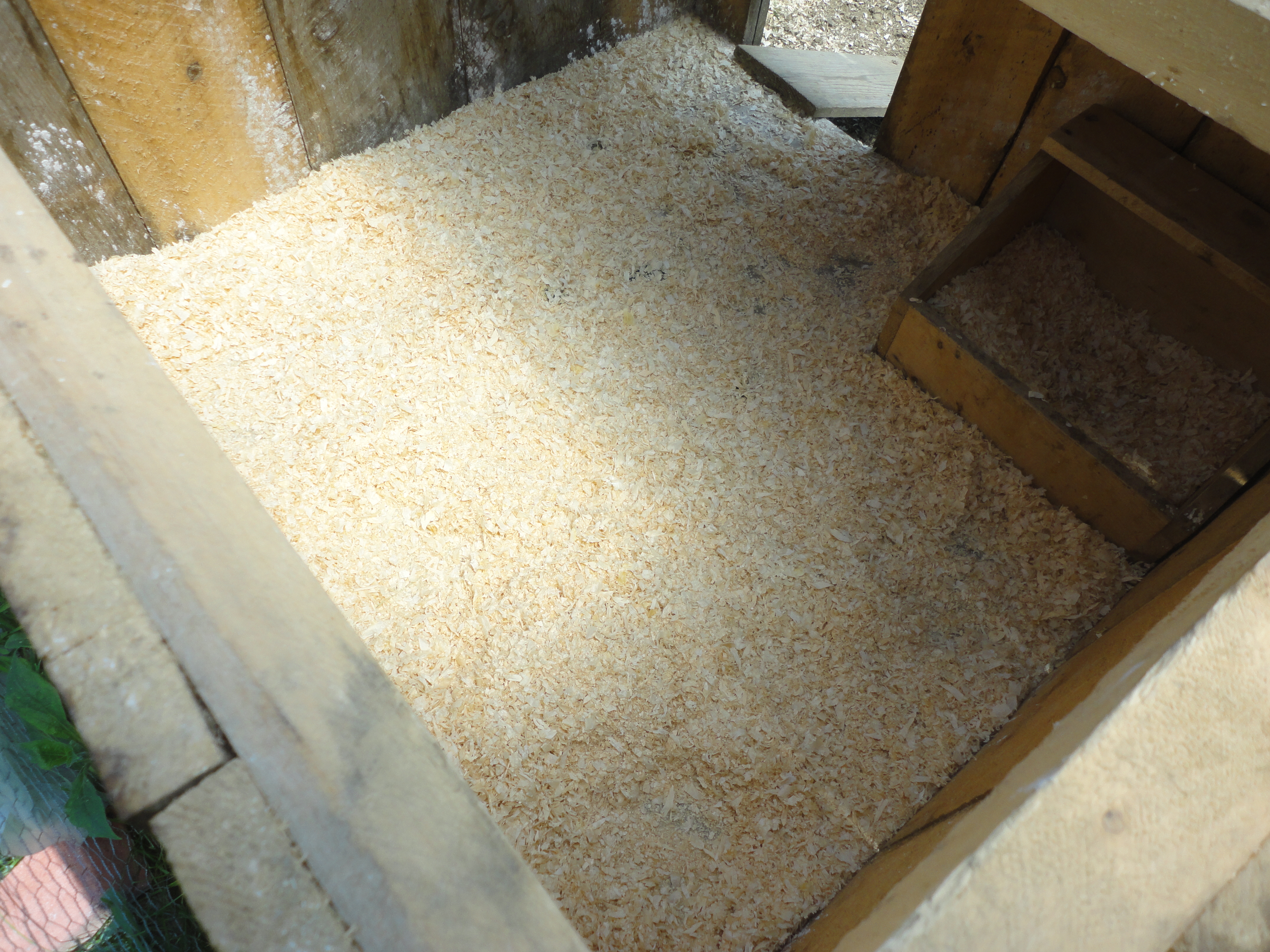 Inside view of coop