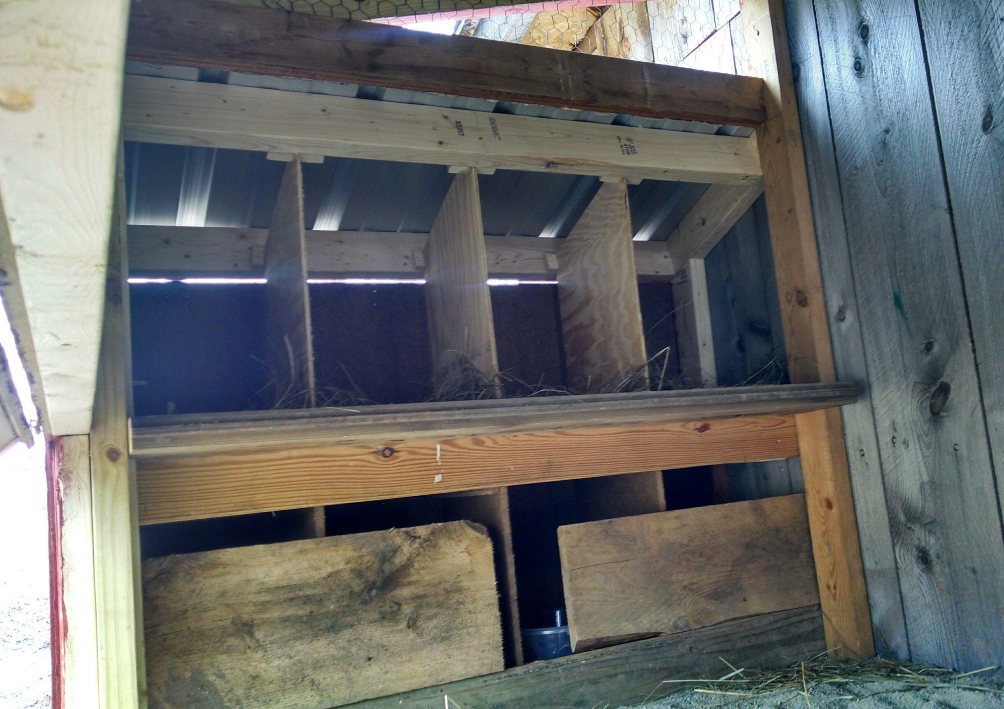 Inside view of my nest boxes. Bottom row is blocked off till the new chicks move in later.