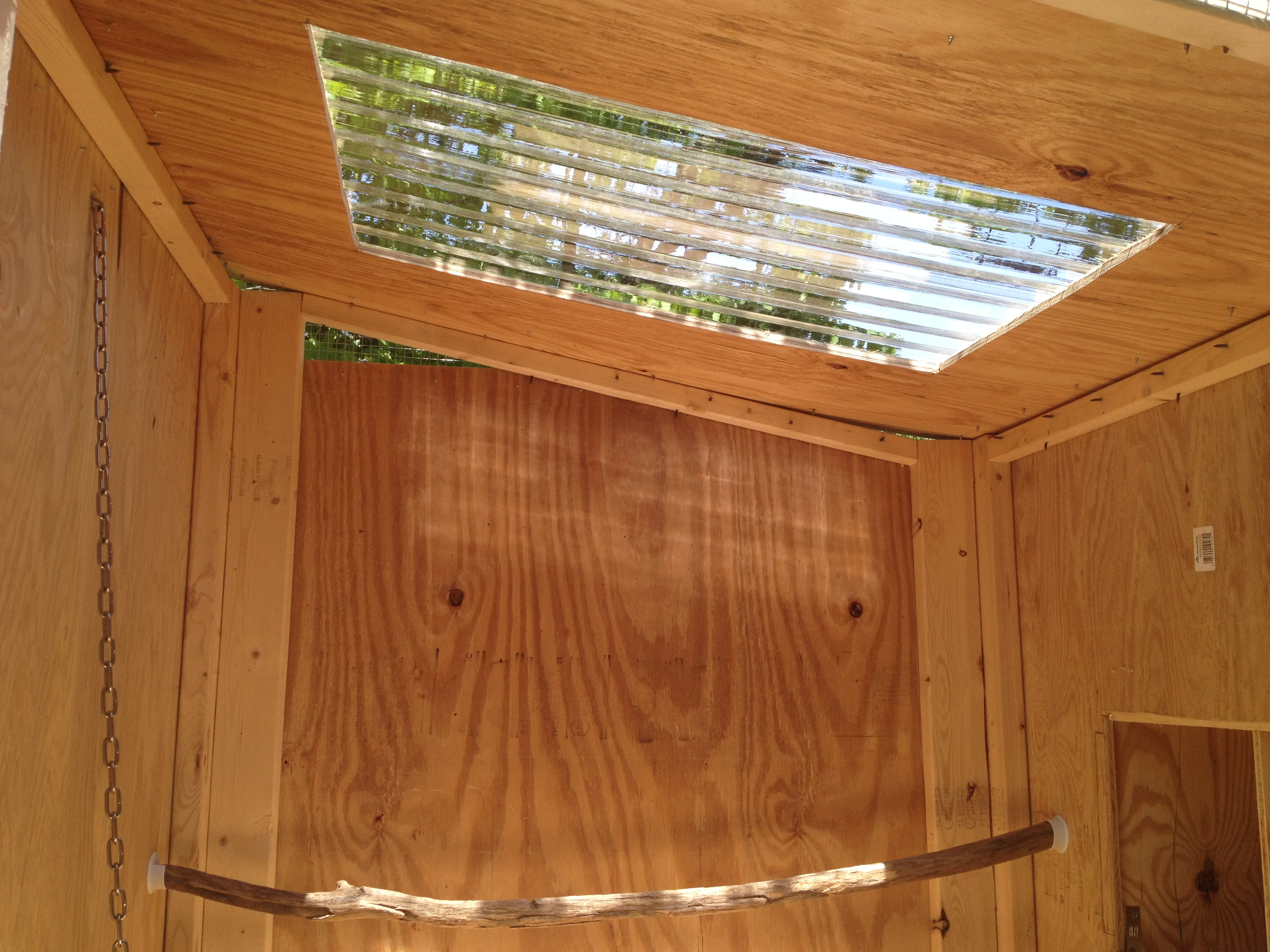 Inside view of skylight, roosts and nest boxes