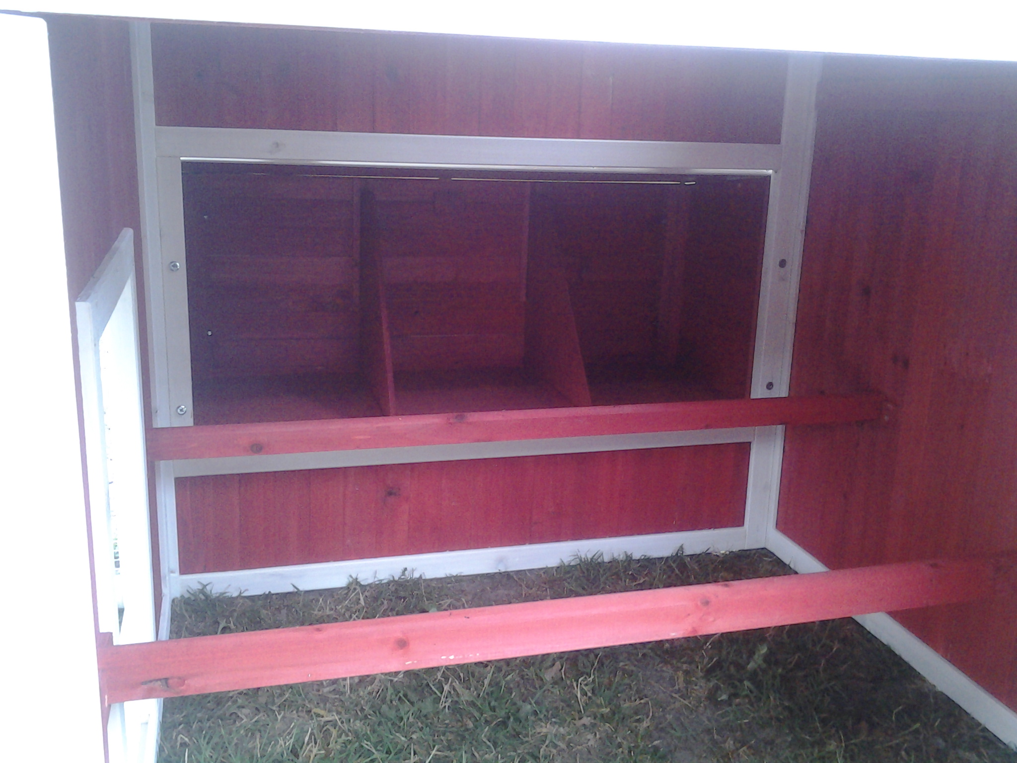 Inside we plan to put a ply wood base like the loft on top of the roosts we will close off the nesting boxes and door wit fuzzy chicks in here.
