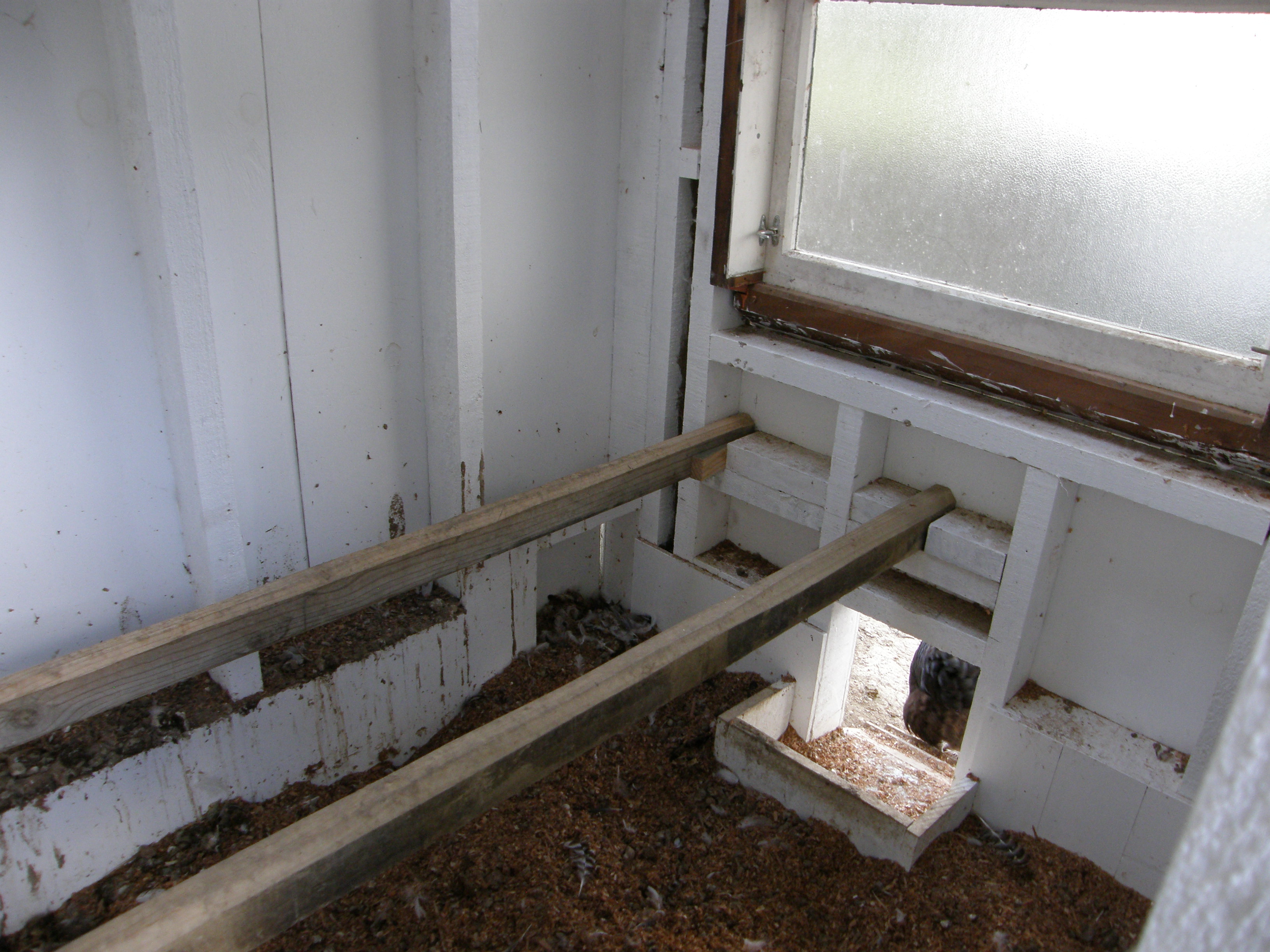 Inside with plenty of room.