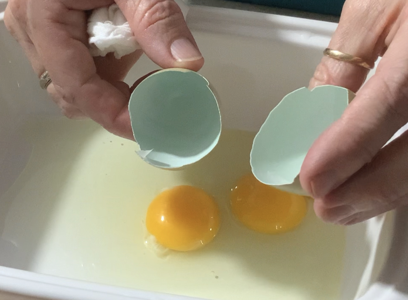insideEveyegg.jpeg