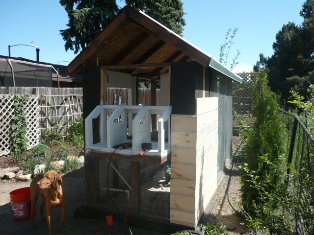 Installation of the beetle-kill pine board.