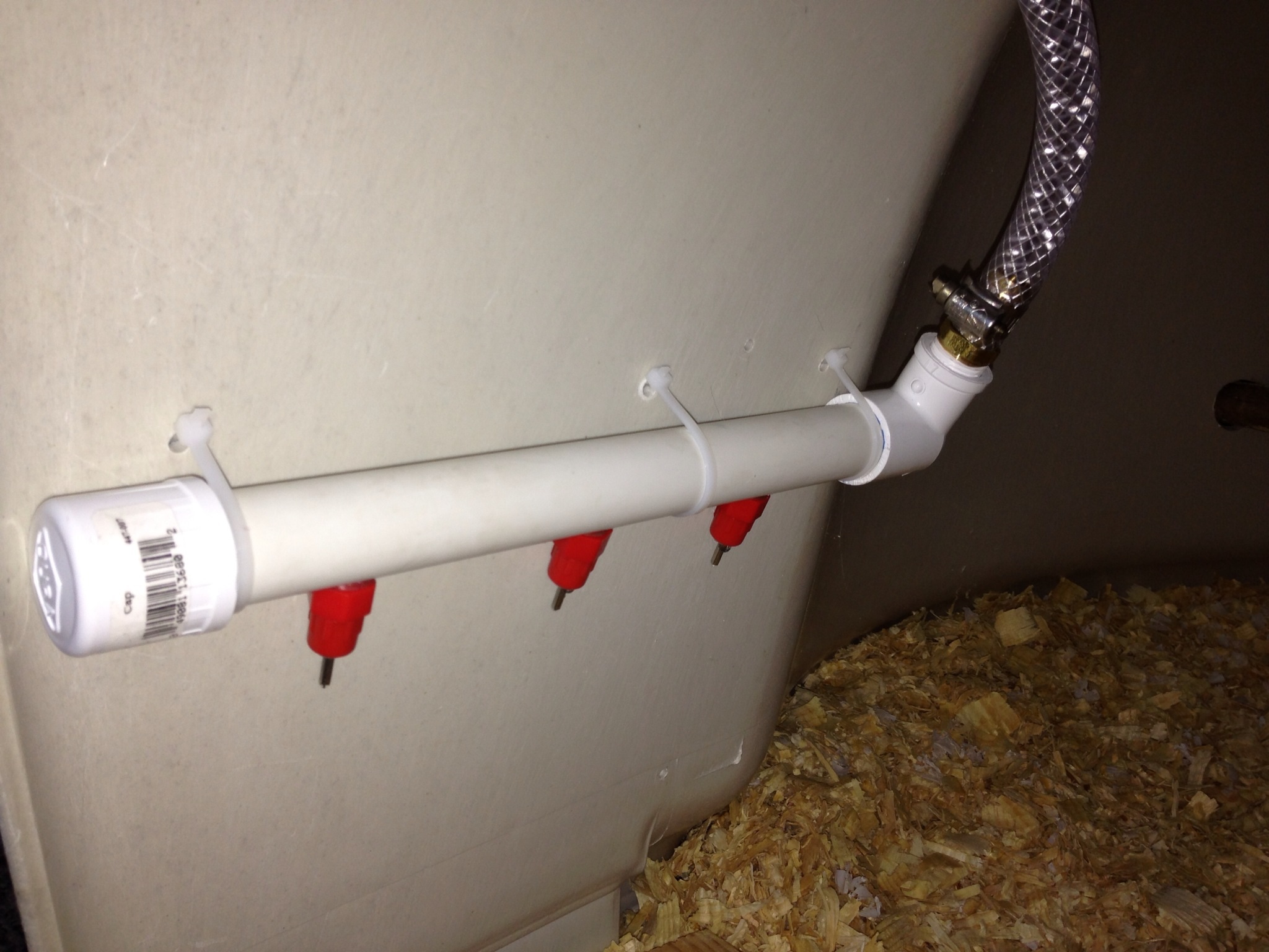 Installed automatic waterer with nipples attached to a 5-gallon bucket