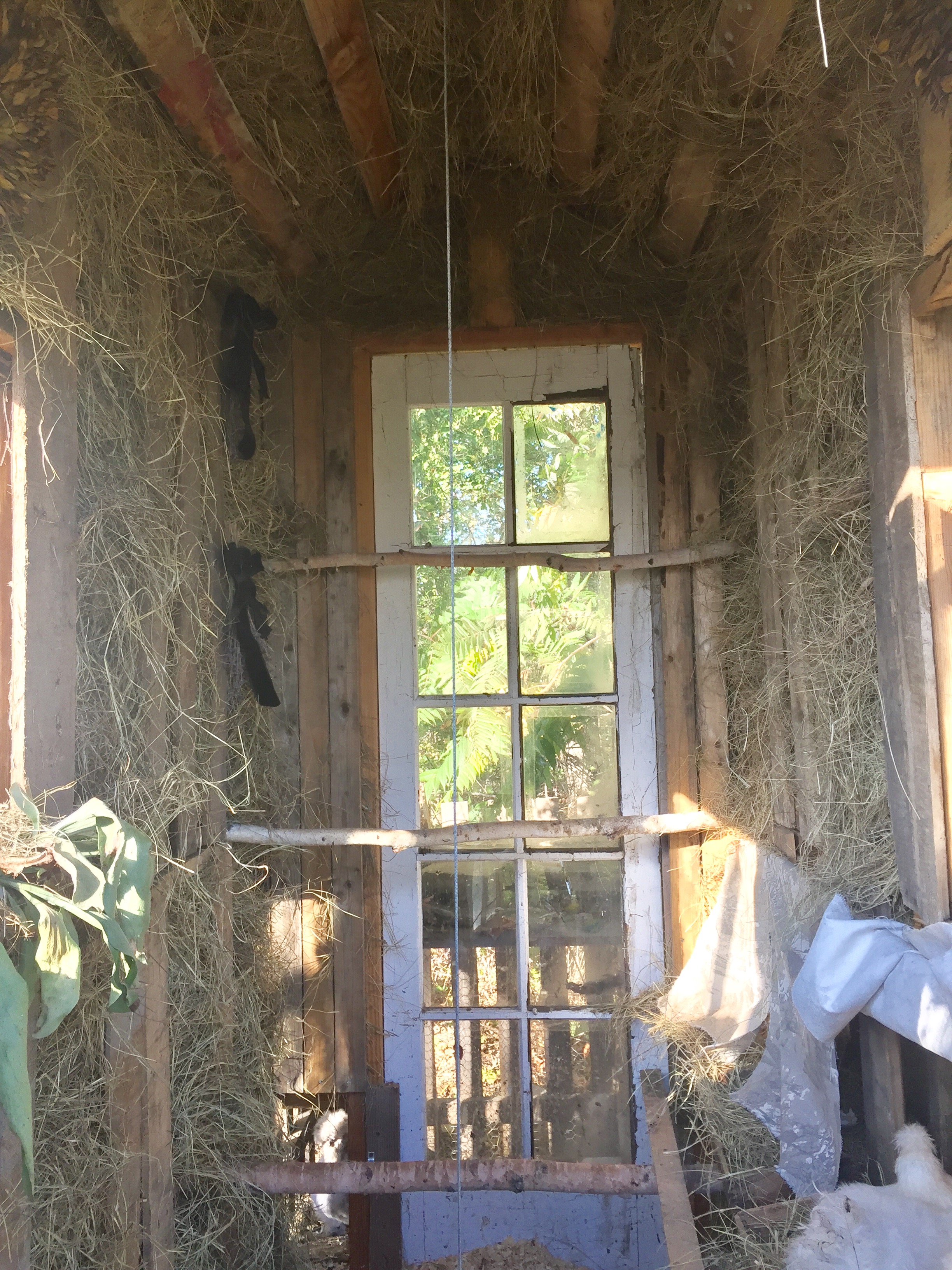 Insulated with Salt Marsh Hay for the winter.