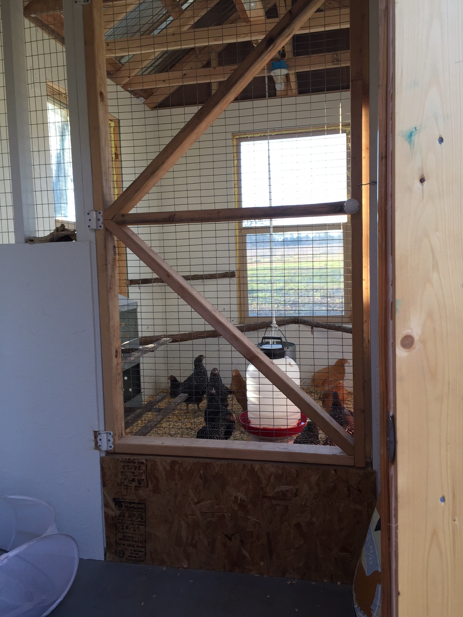 Interior gate separating the chicken from the feed and supplies.