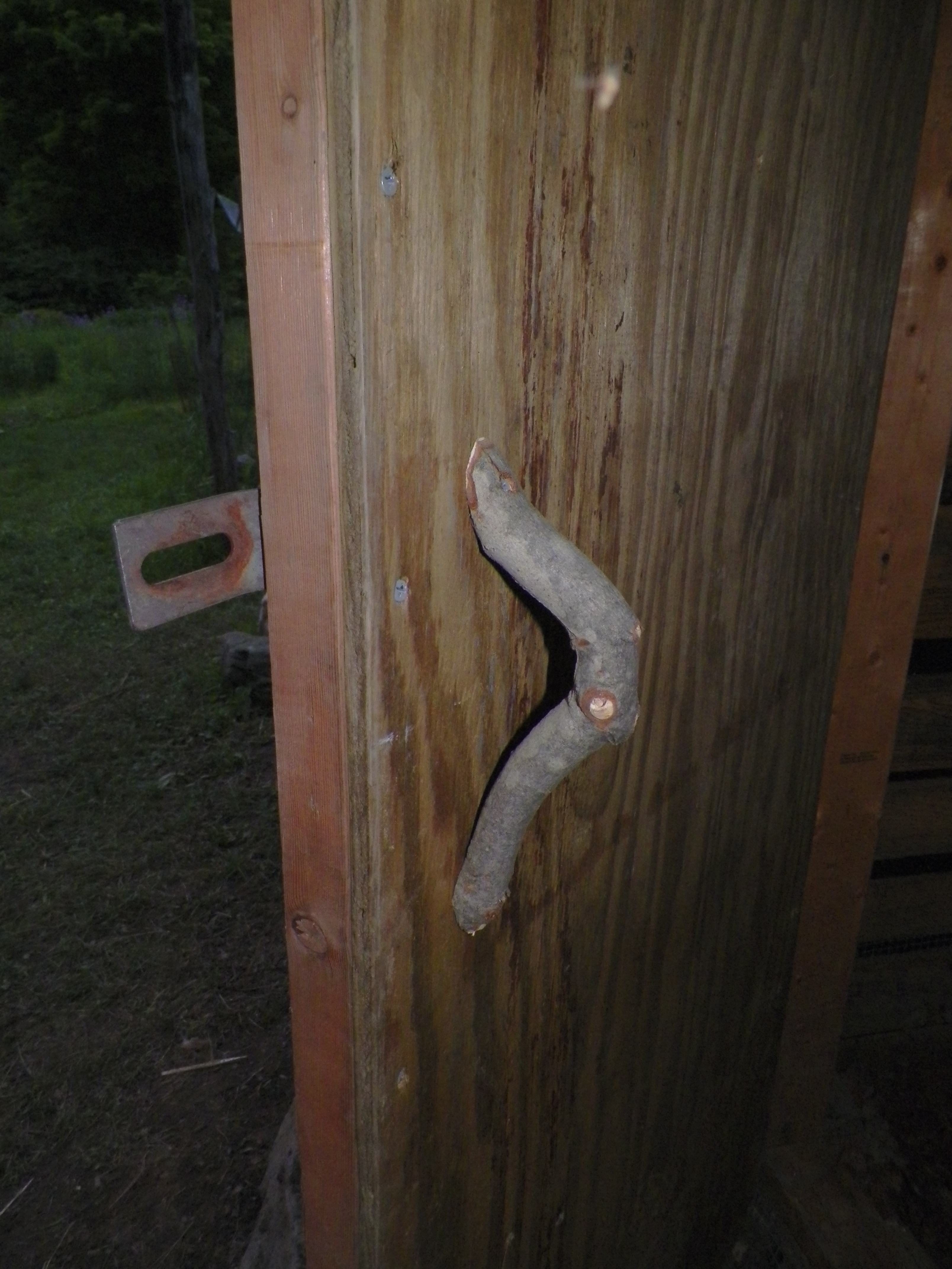 Interior handle of a maple branch. Hurricane Sandy brought down a large Maple and there are many bent branches in it's top. I may do all our handles out of it.