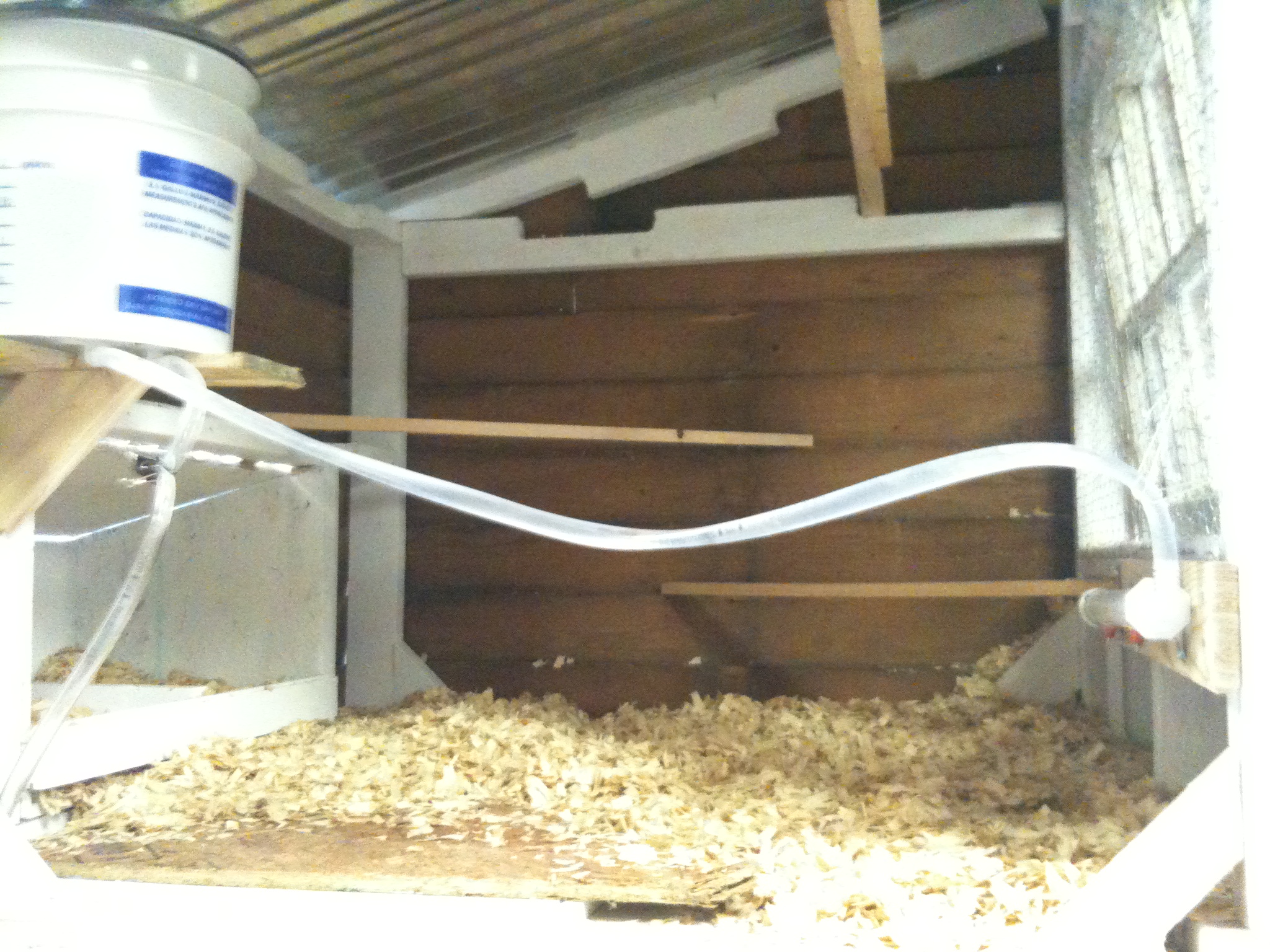Interior shot of the coop. You can see the waterer setup pretty clearly. There is one nipple setup inside and one outside (notice the tube leading through the floor on the left). The bucket gravity feeds the waterers and has worked out very well.