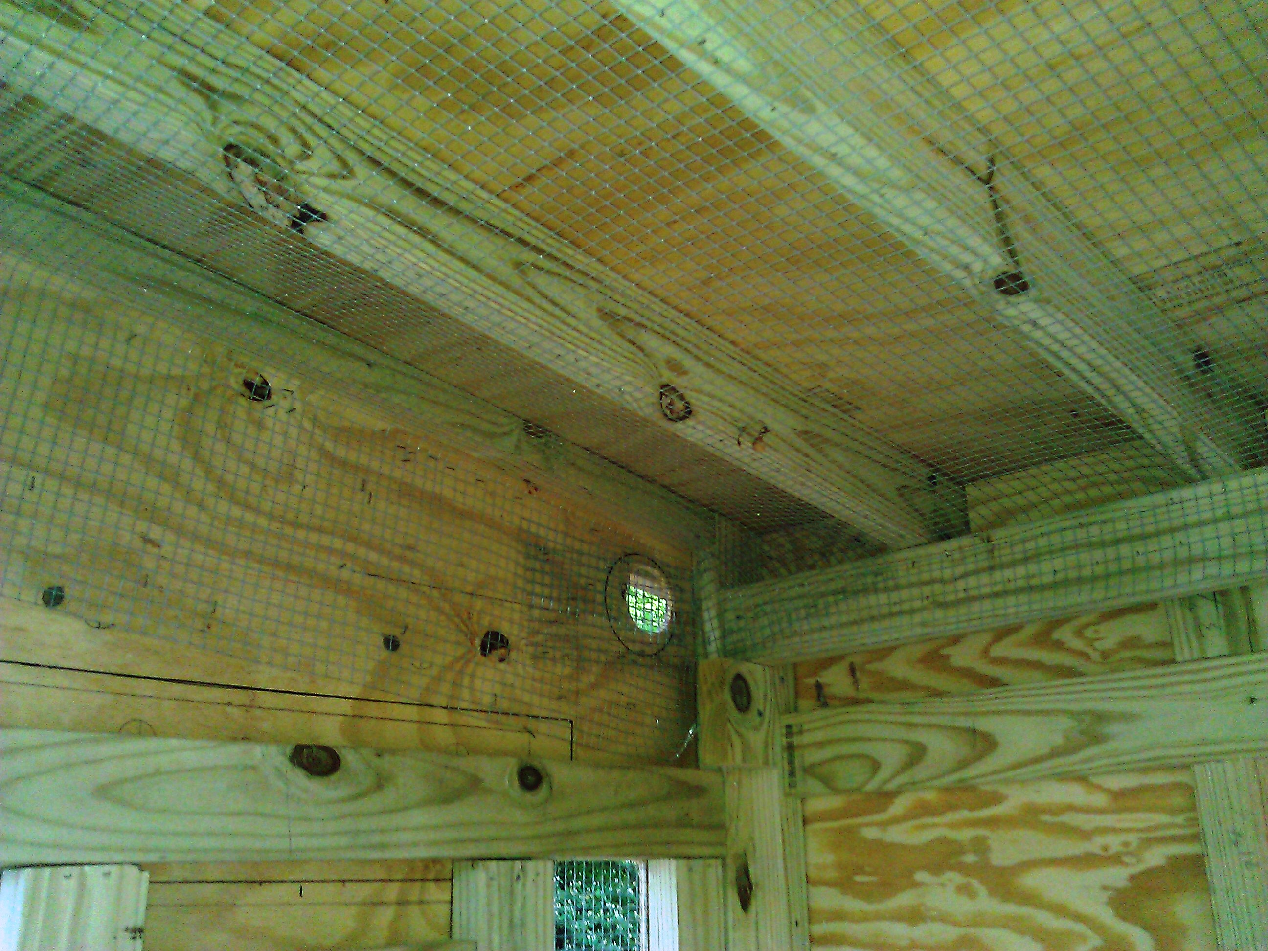 interior view of the wire cloth, attached to the inside of the coop and around vents