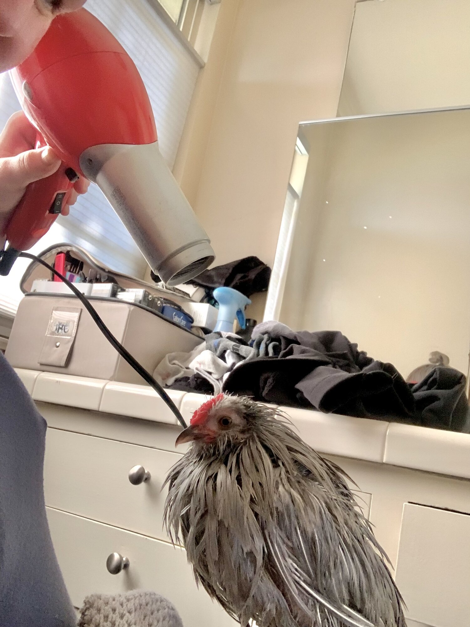 Ionic infrared Chi blowout for me!