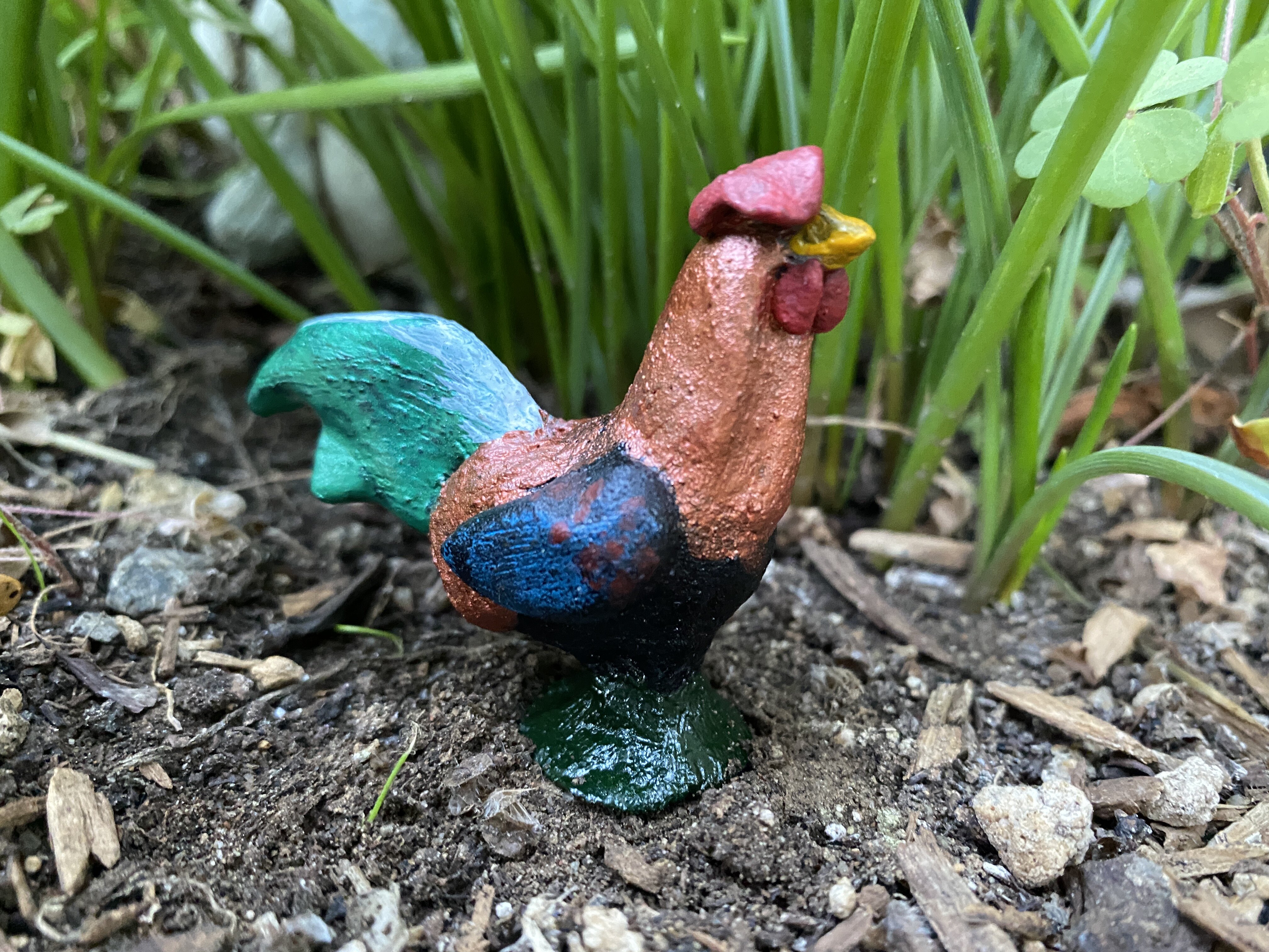 Iris, a black copper marans mix rooster.