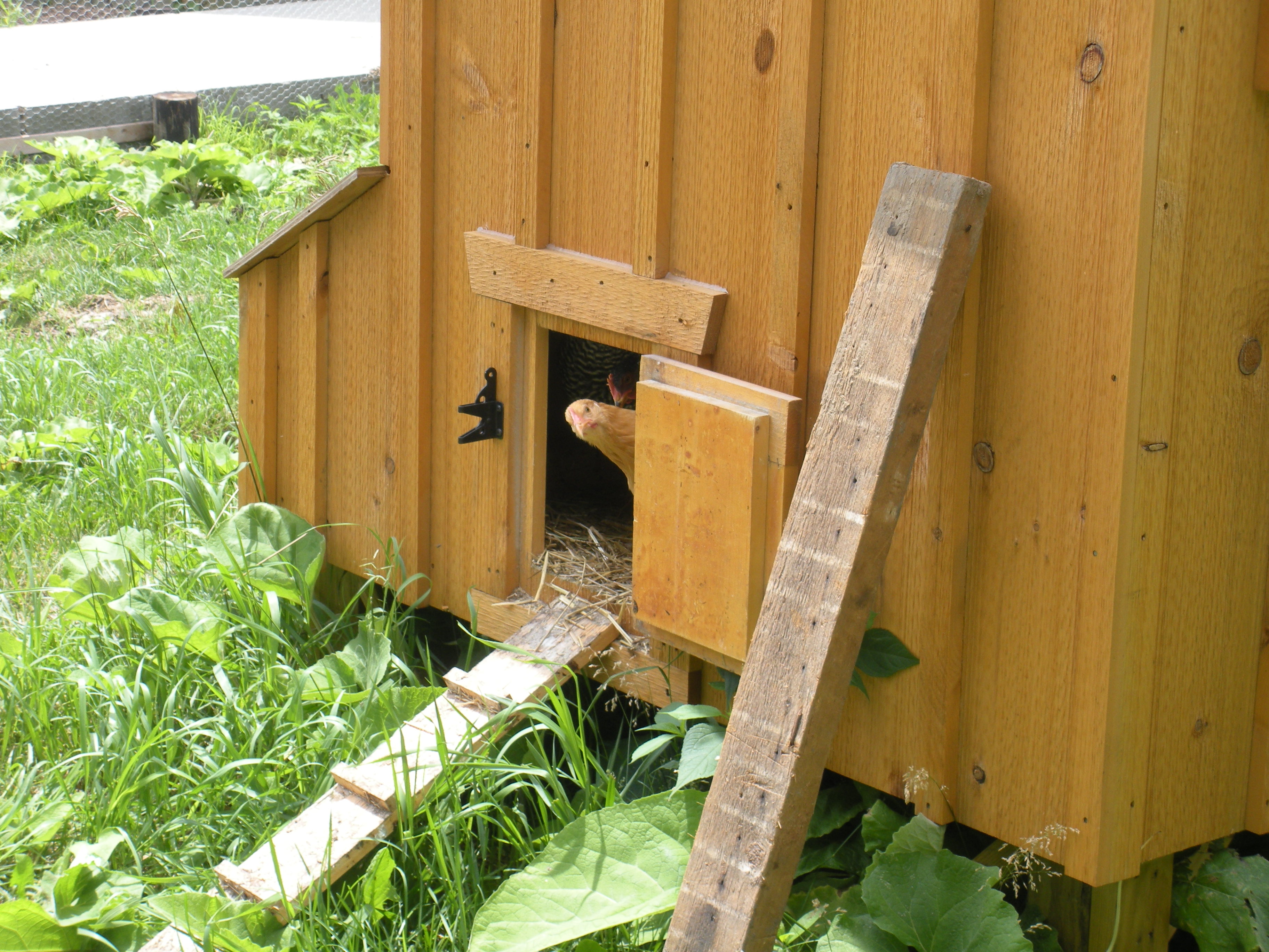 Is it safe to come out???