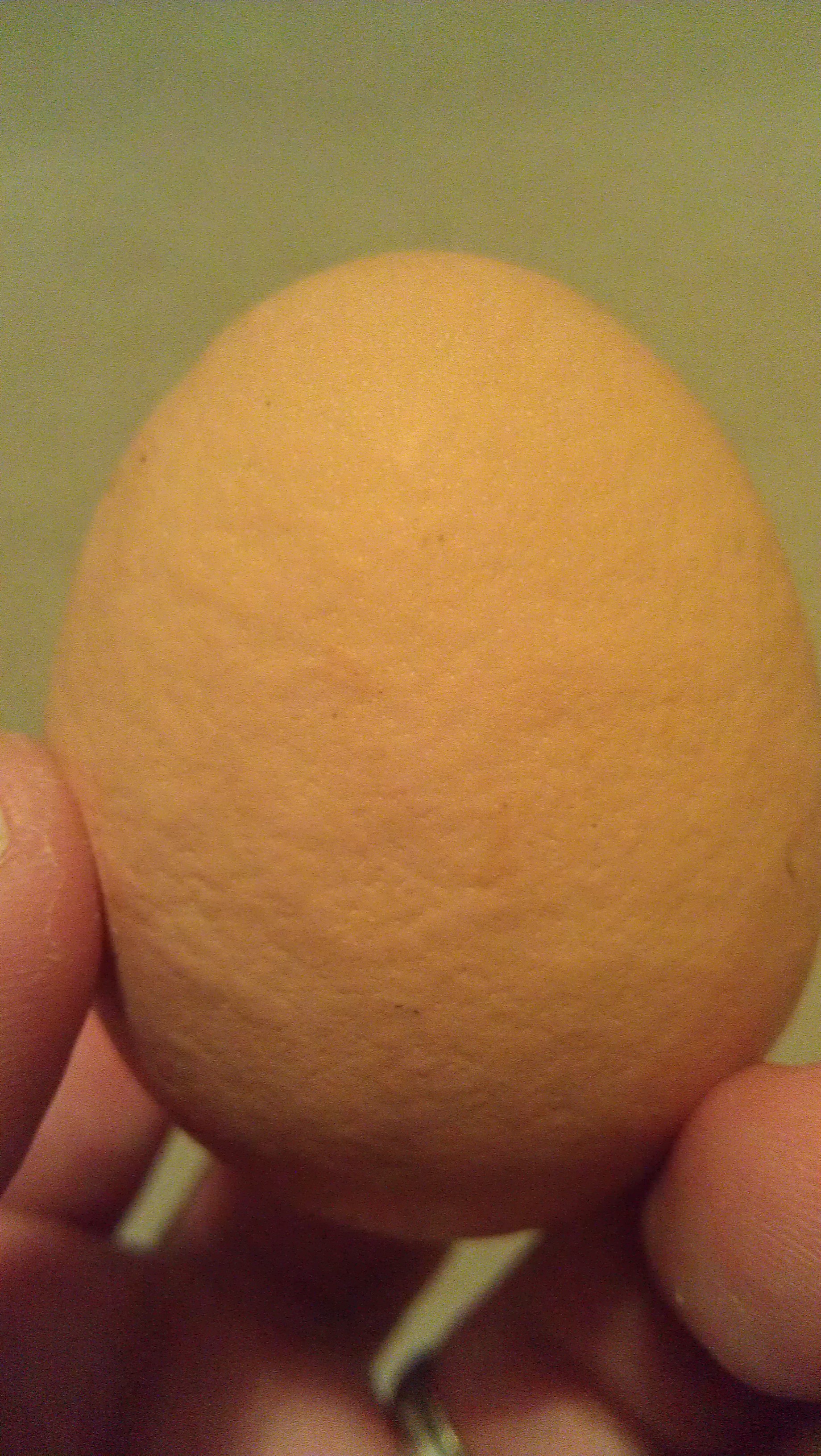 Is there a reason why this egg came out bumby? Could anyone chime in as to why this may happen. It's happened twice already and I would Luke to ensure that I'm not doing anything wrong.

Your feedback is greatly appreciated