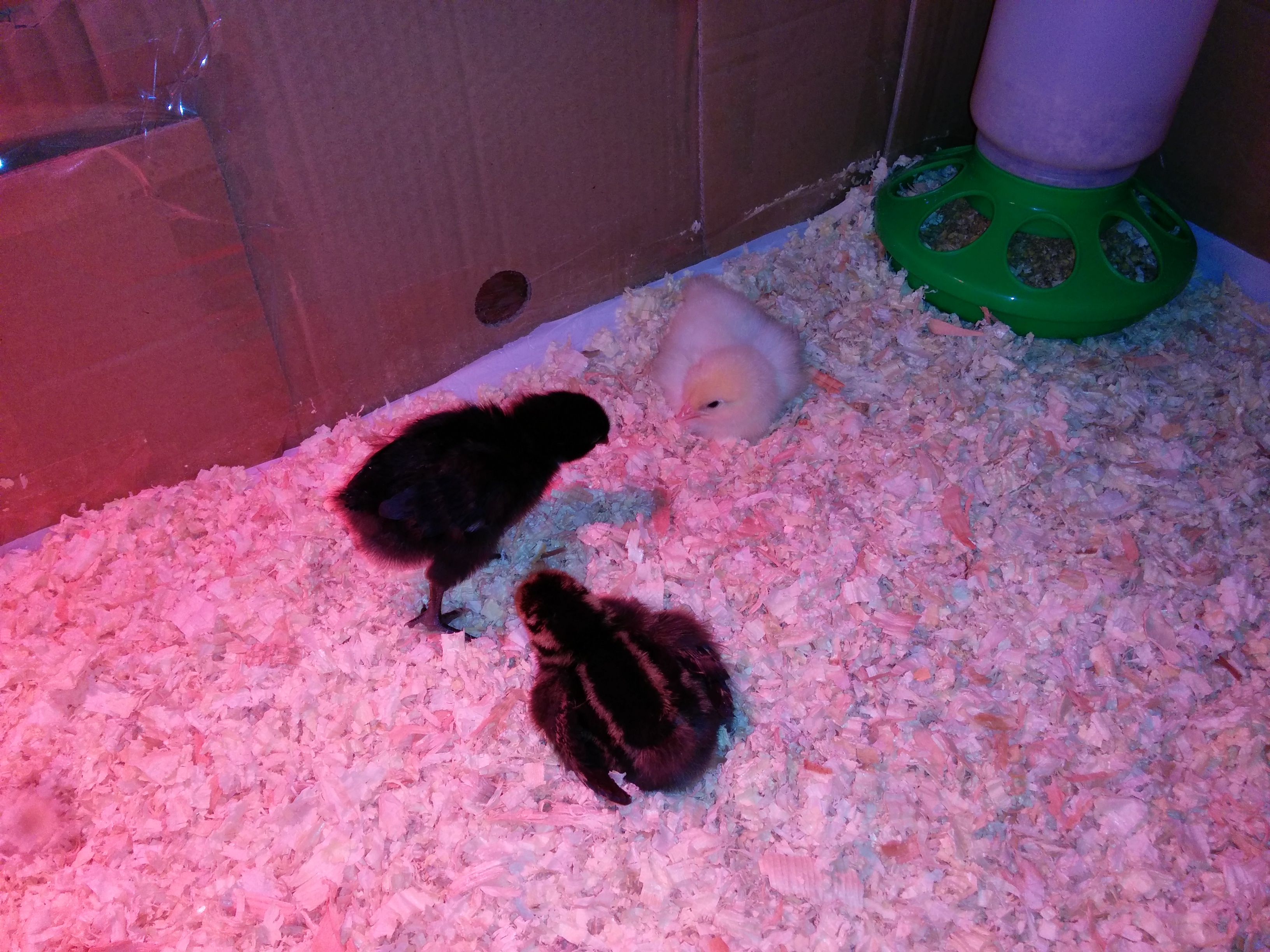 Is this where we sleep?