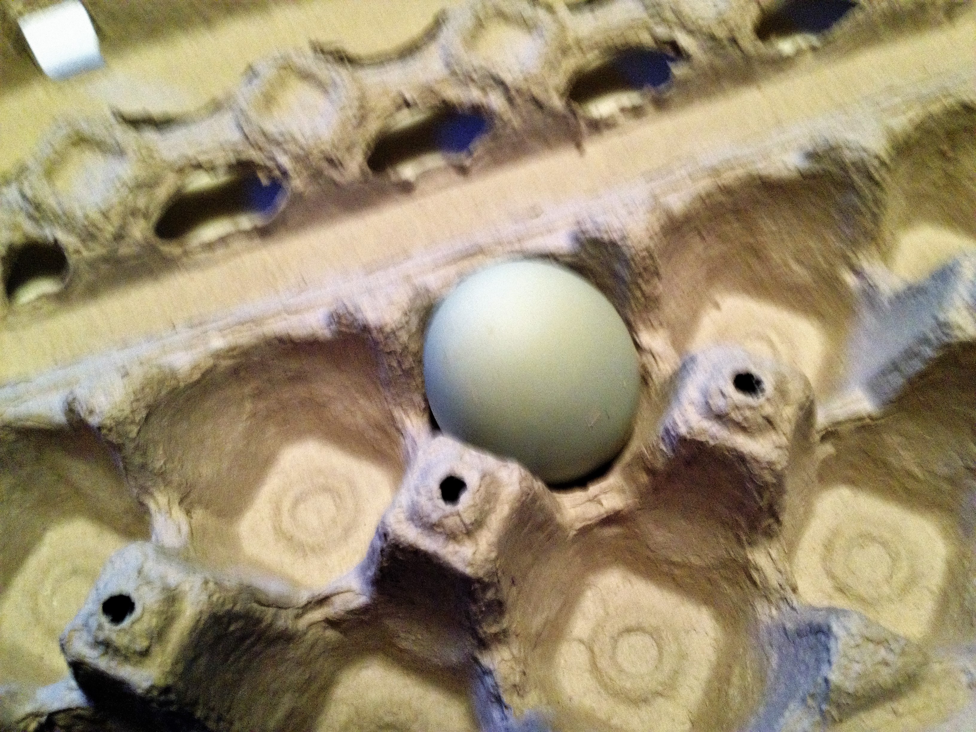 Isn't it the most beautiful egg you've ever seen????