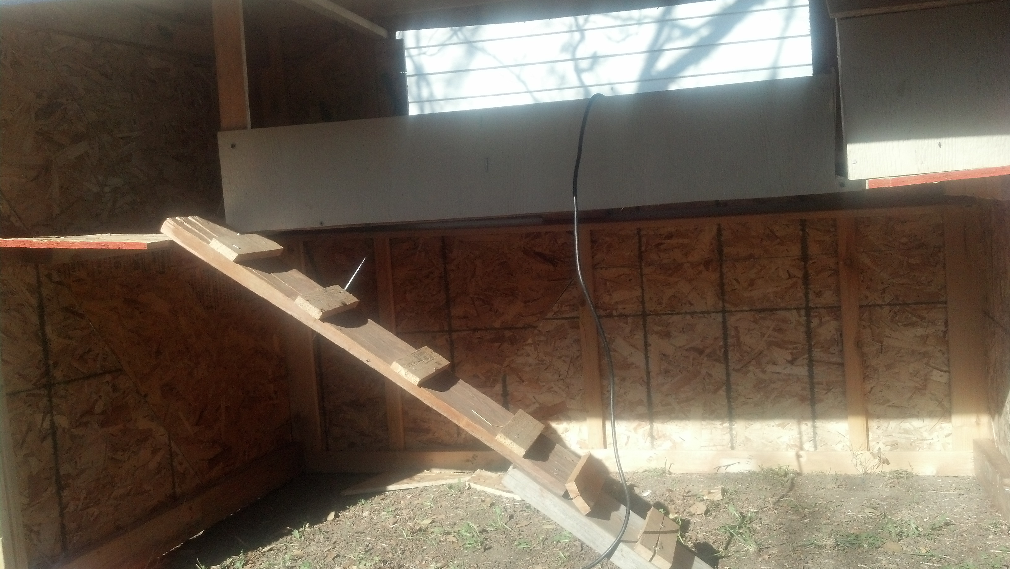 It geta cold and snows here so we left the bottom as dirt and decided to just put the ladder inside since they hate coming out in the snow