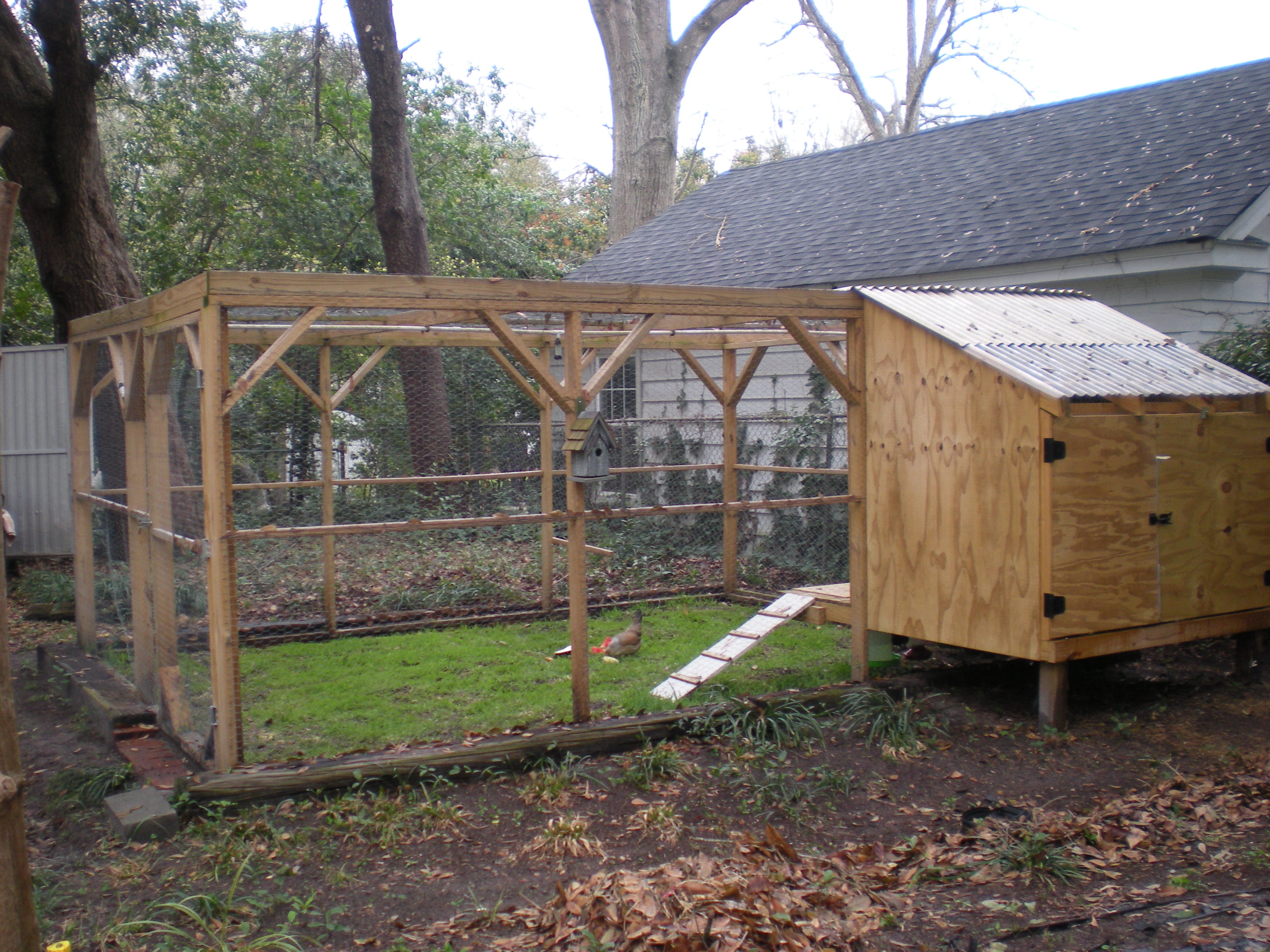 It is a really nice large run area and nice coop with 5 roosting boxes. The floor isn't solid to help with ventilation and easy clean-up. There is a hinged area in the front we drop down when it get's hot