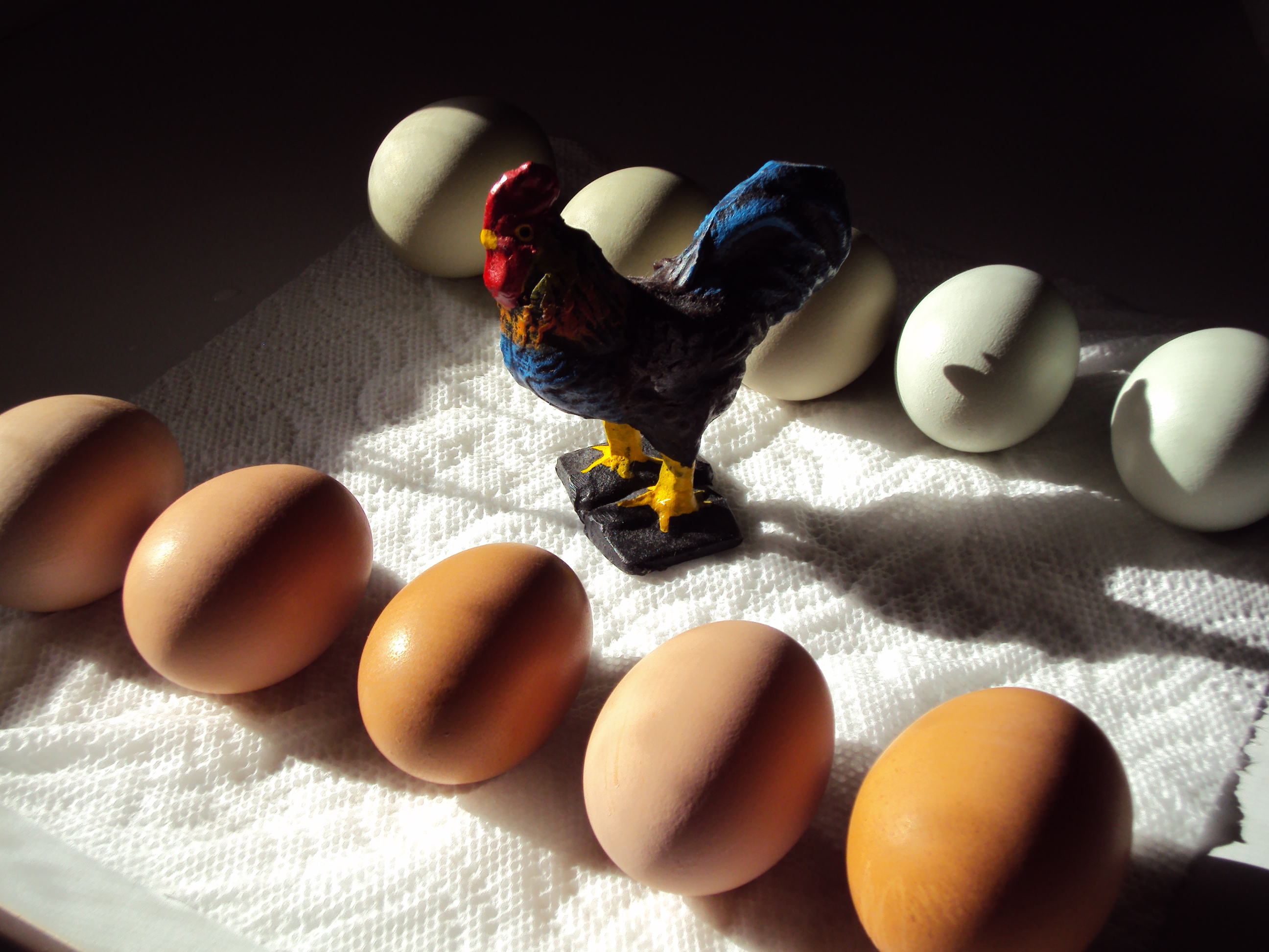 It's a 10-egg day !!!!