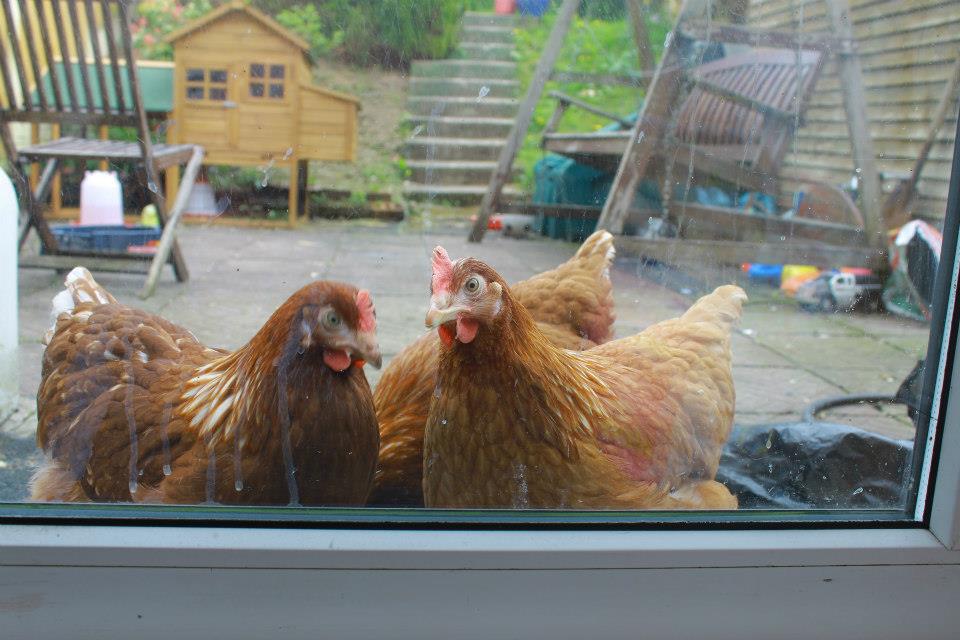 *
its cold can we come in