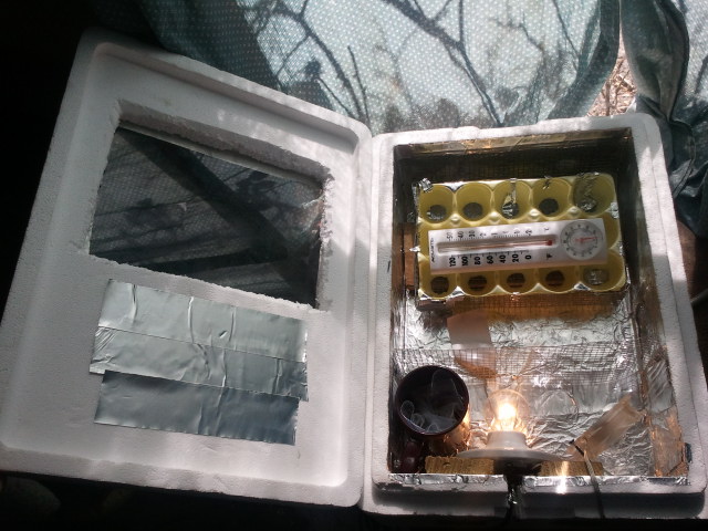It's finished! I just have to test it out. I'm going to run it until I get within a 3 degree stability for 36-48 hours. It can total hold 15-30 eggs if I pask it, but in just gonna try 1 dozen.