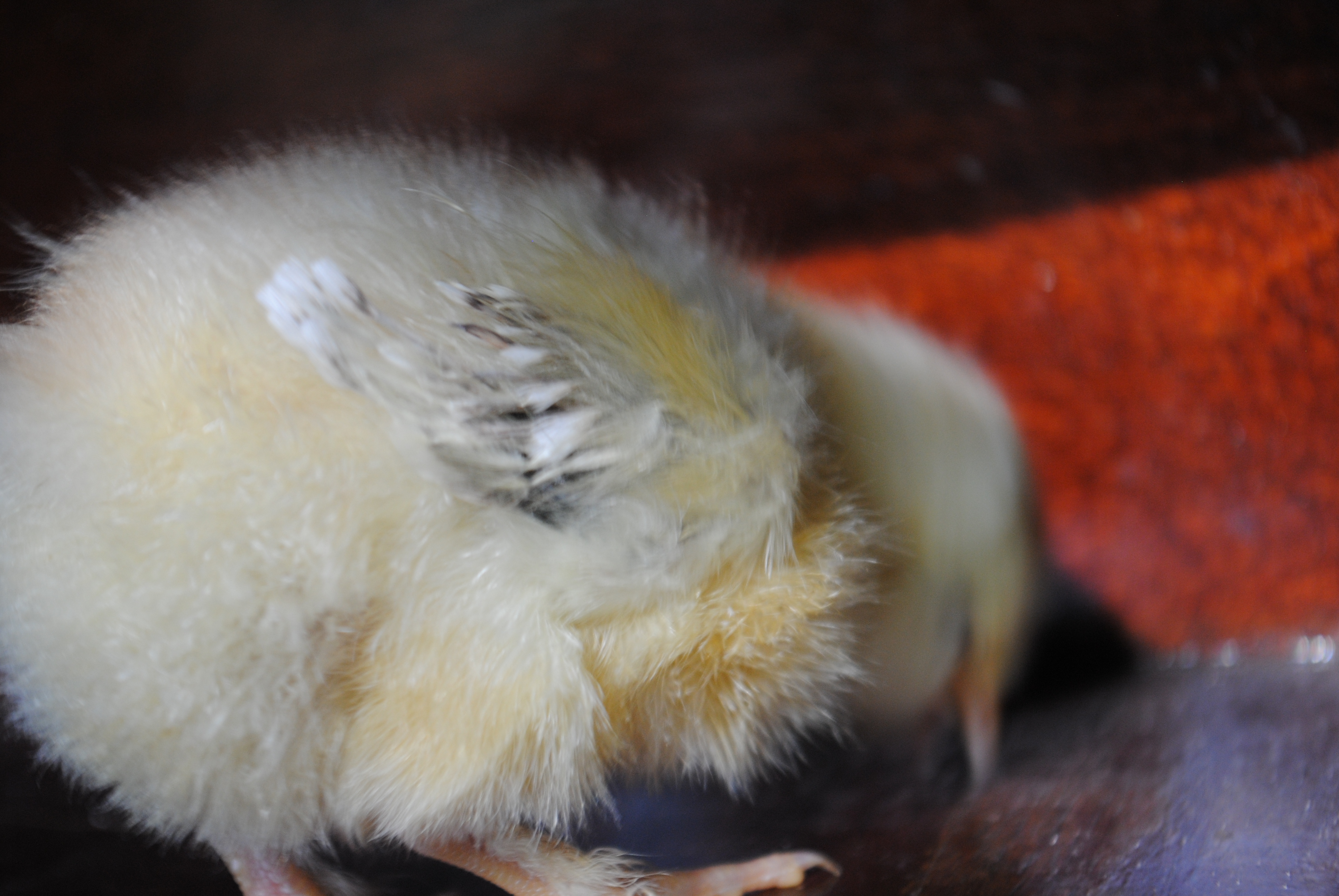 It's ME!!!!!!!!!!!!!!!!!!!!!!!!!