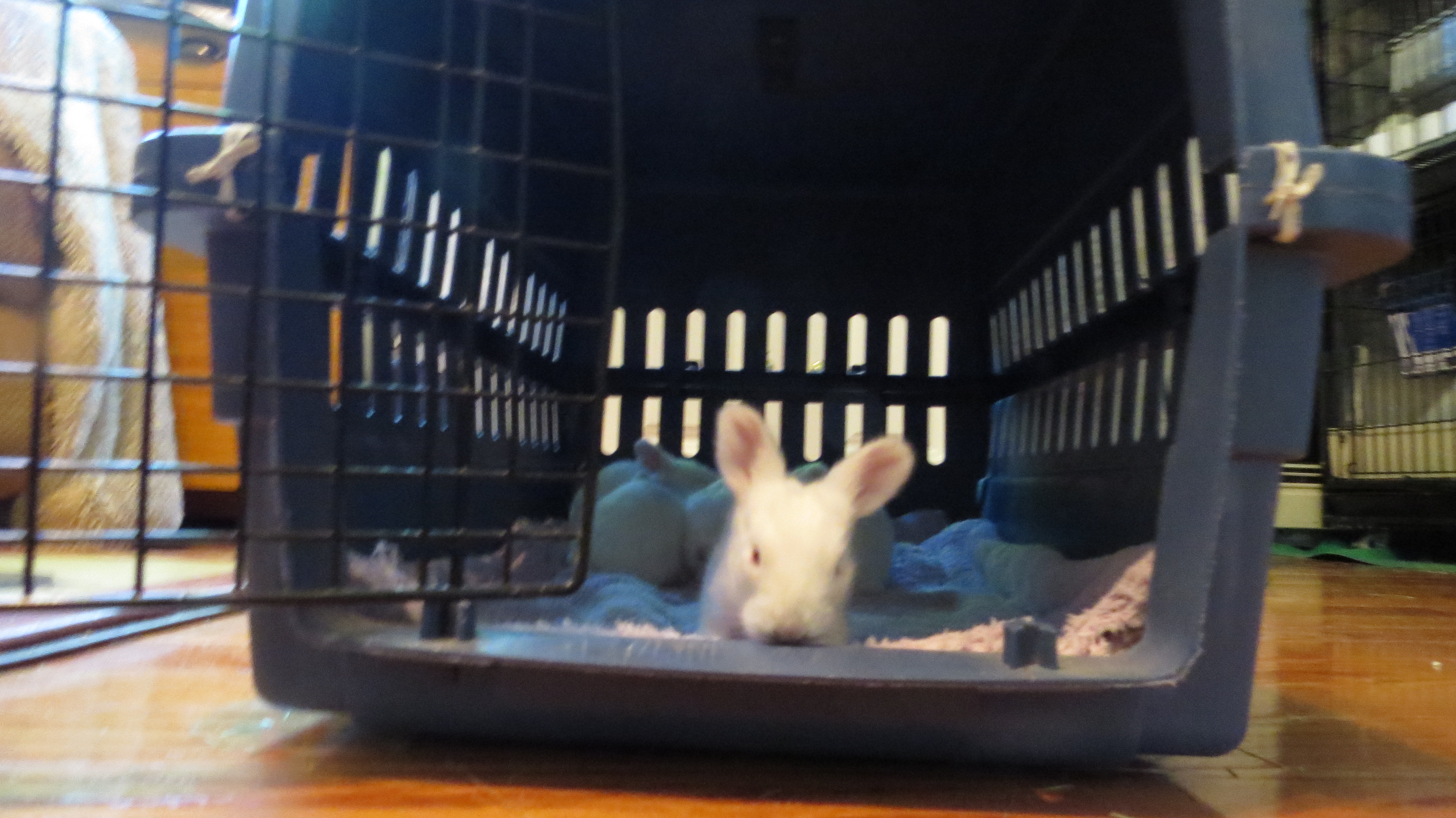 Its such a big world out there for me to explore!