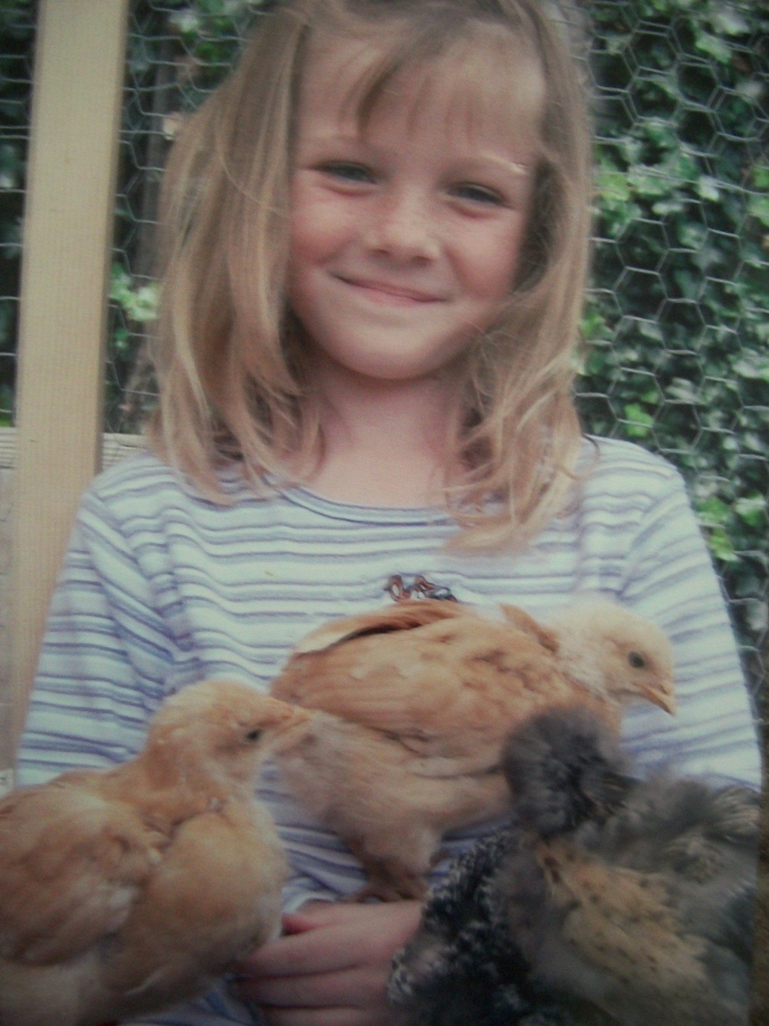 I've had chickens my entire life. (since I was 5 years old) and have always loved them!
