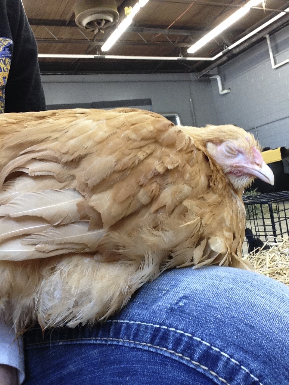 Jacey is exhausted after being held by everyone!