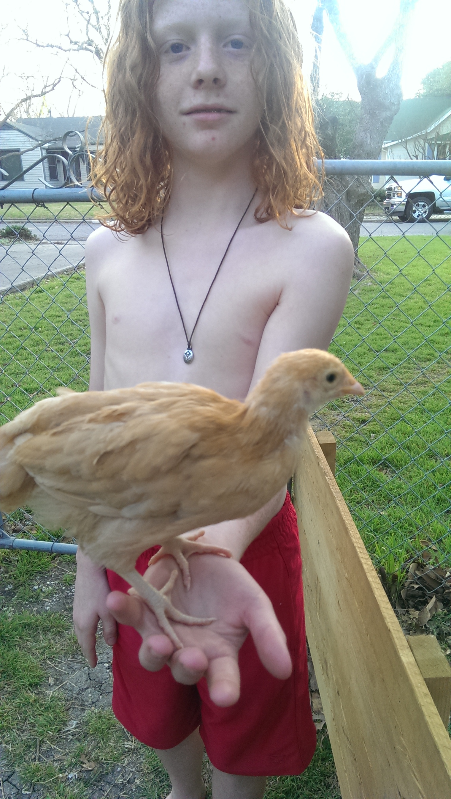 Jack holding little Peppa, one of our Buff Orpingtons.