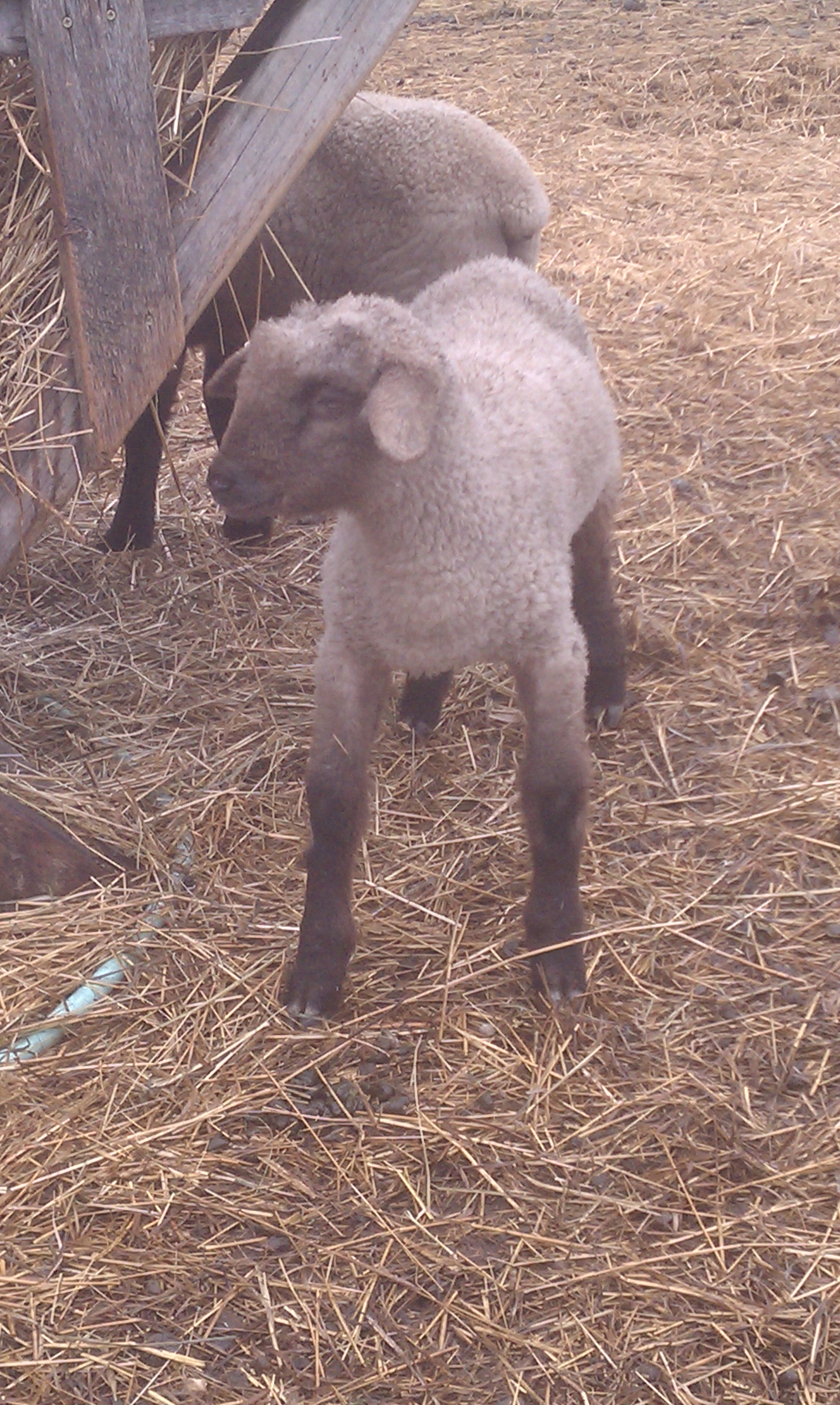 Jack is getting better