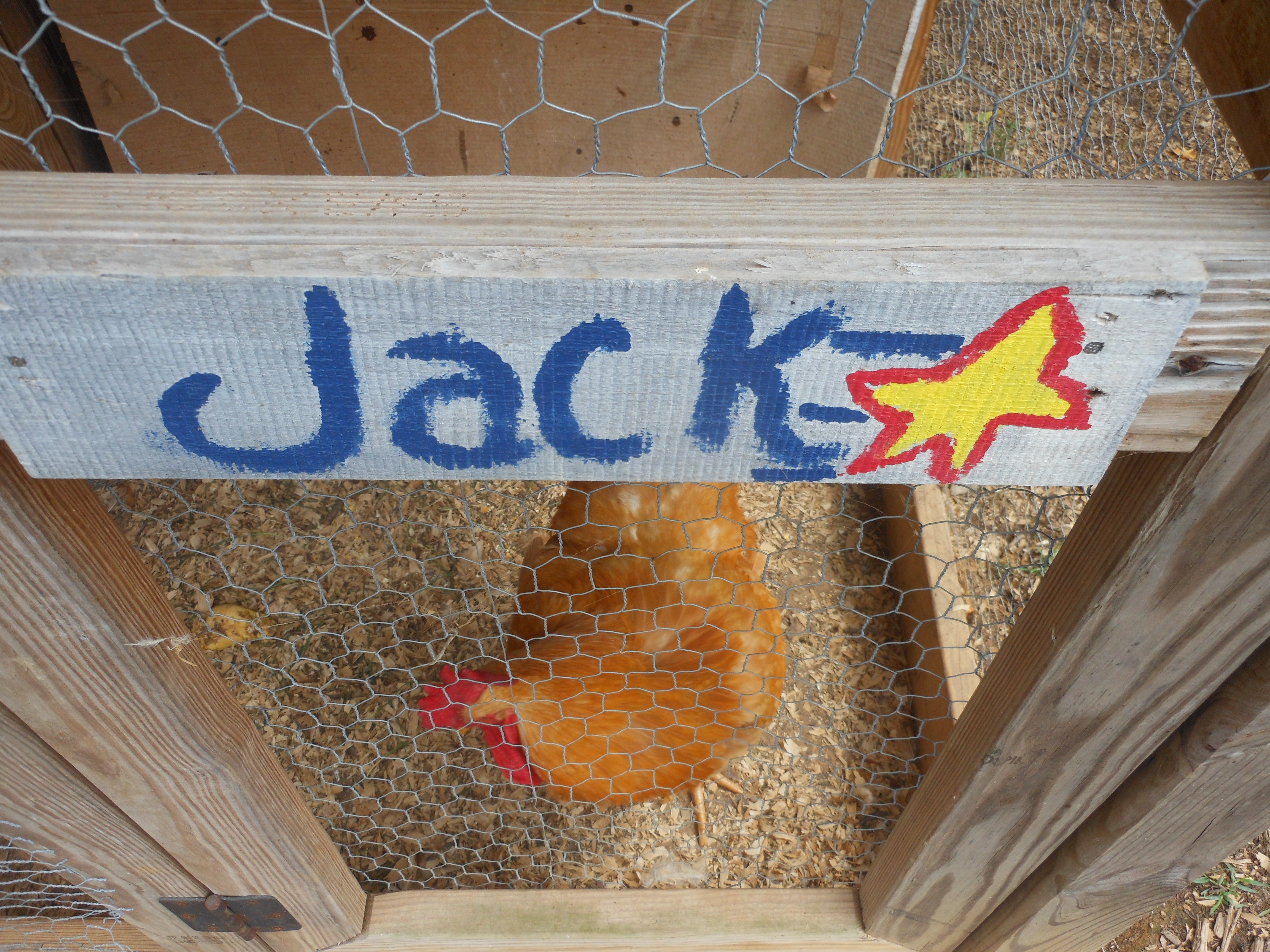 Jack's "apartment" in the Coop Condos.