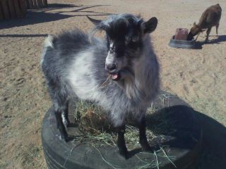 Jackson @ 2 years old